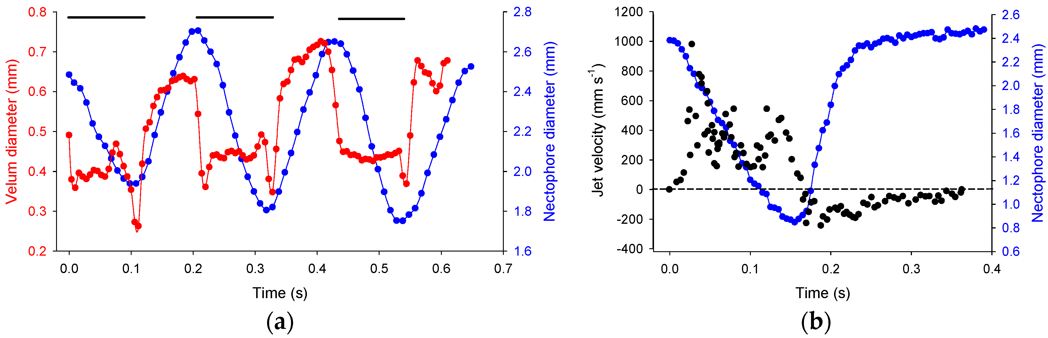 Biomimetics 04 00062 g003