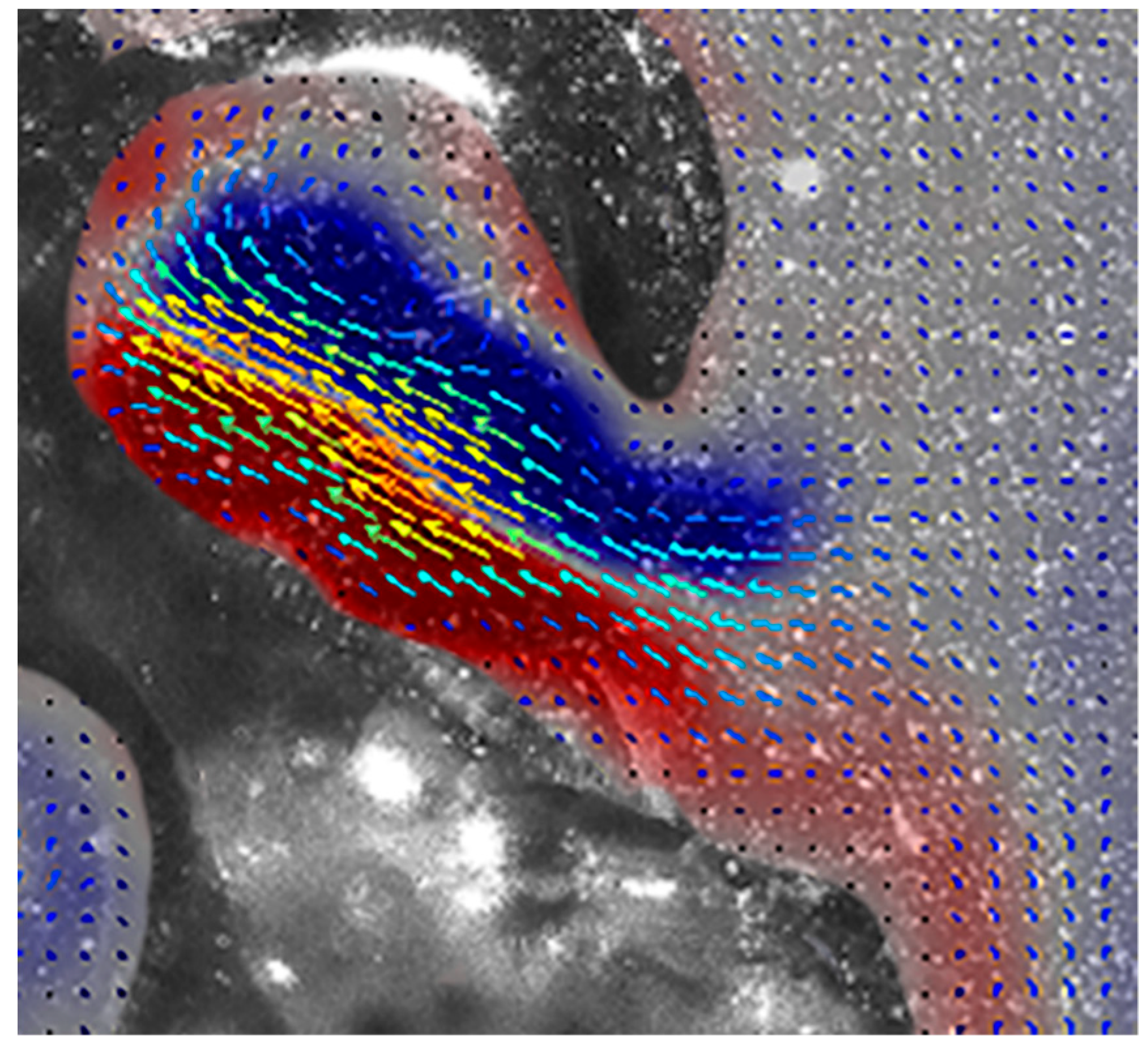 Biomimetics 04 00062 g004