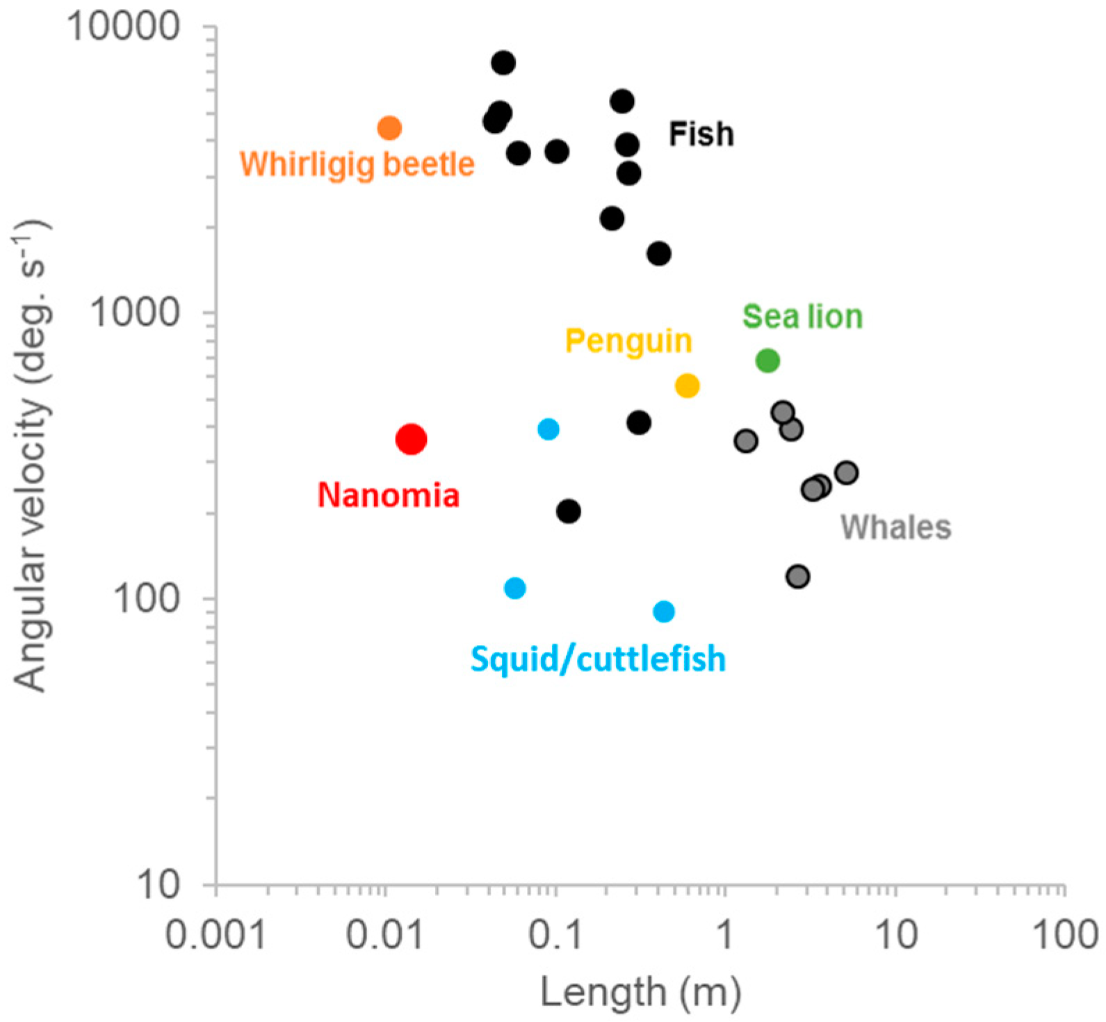 Biomimetics 04 00062 g006