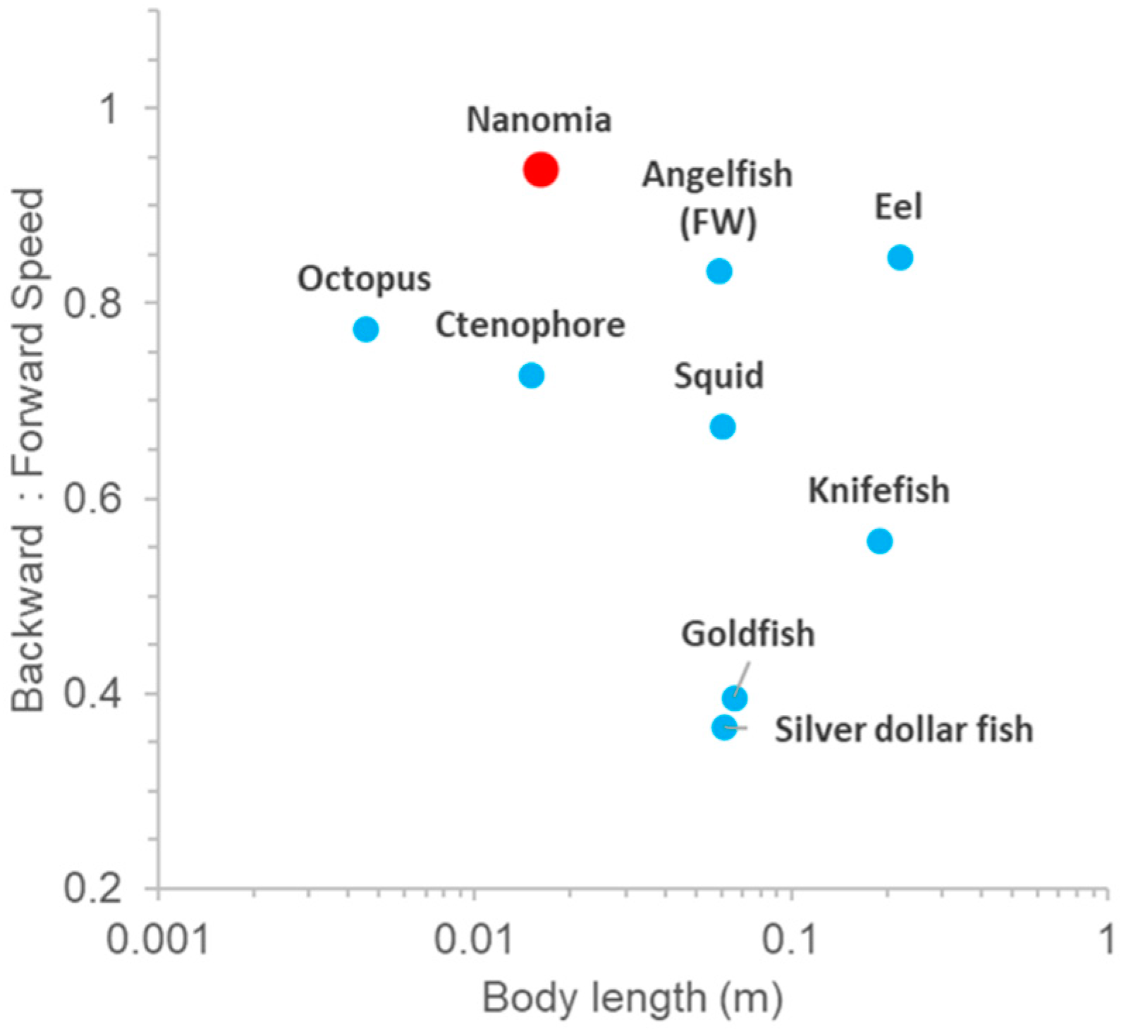 Biomimetics 04 00062 g007