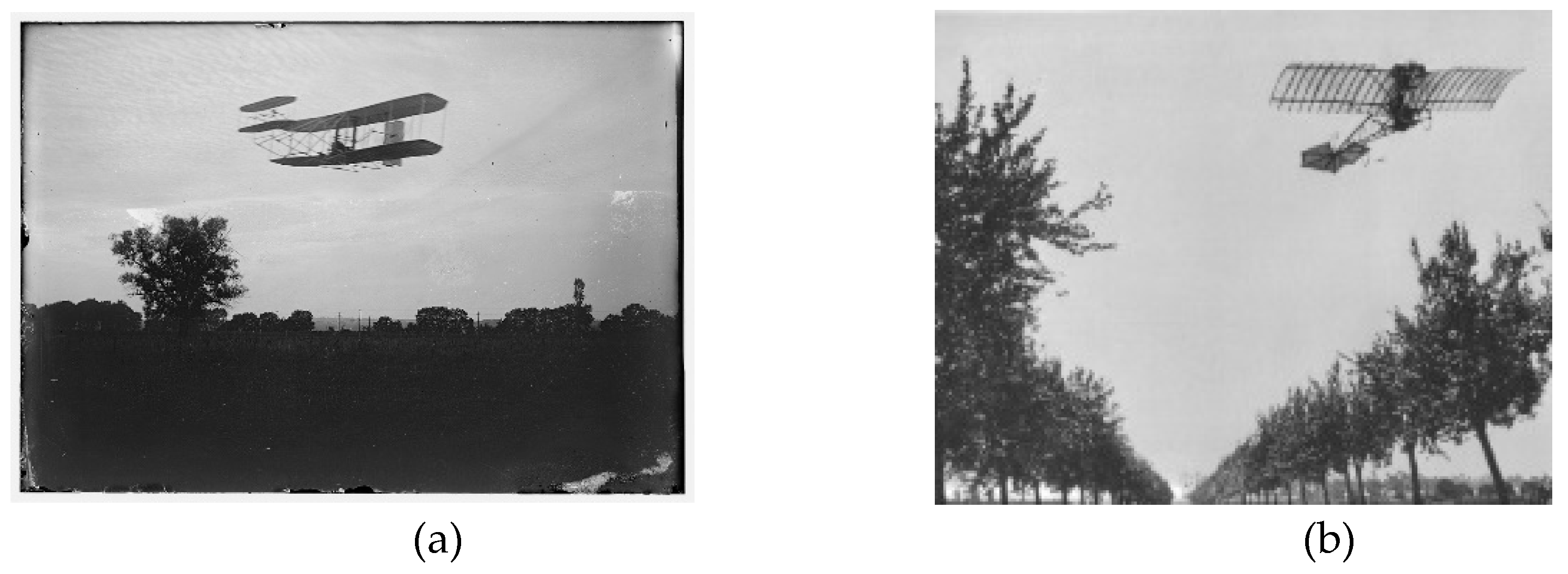 Biomimetics 04 00064 g002