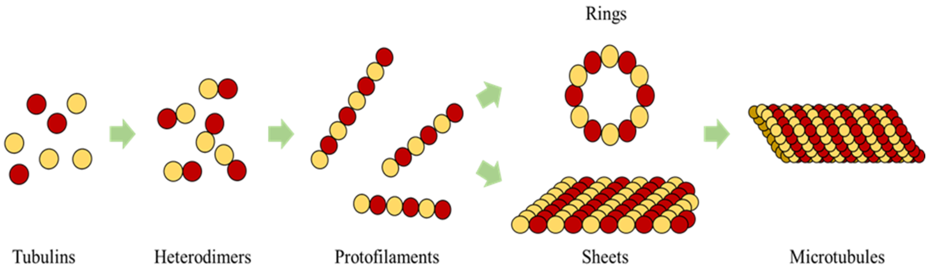 Biomimetics 04 00071 g001