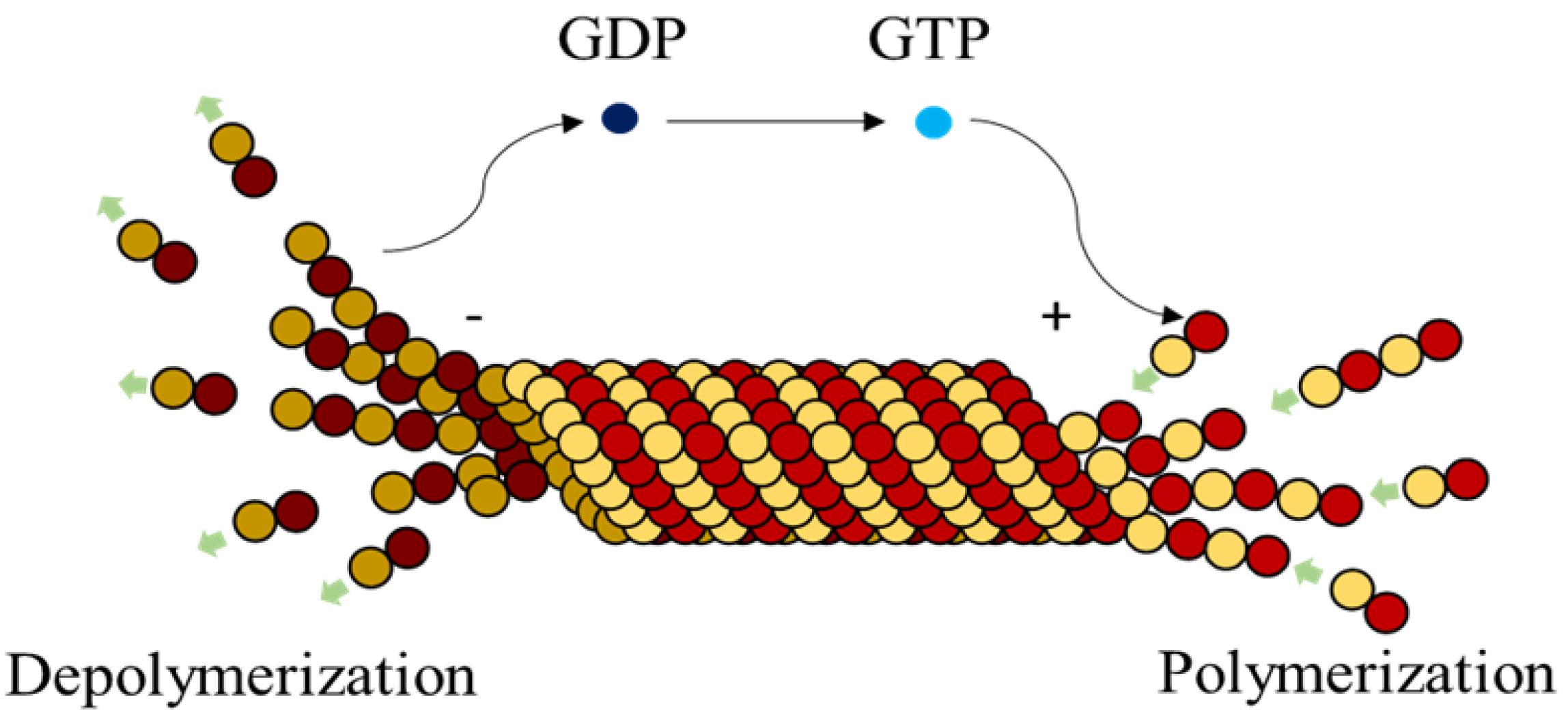 Biomimetics 04 00071 g002
