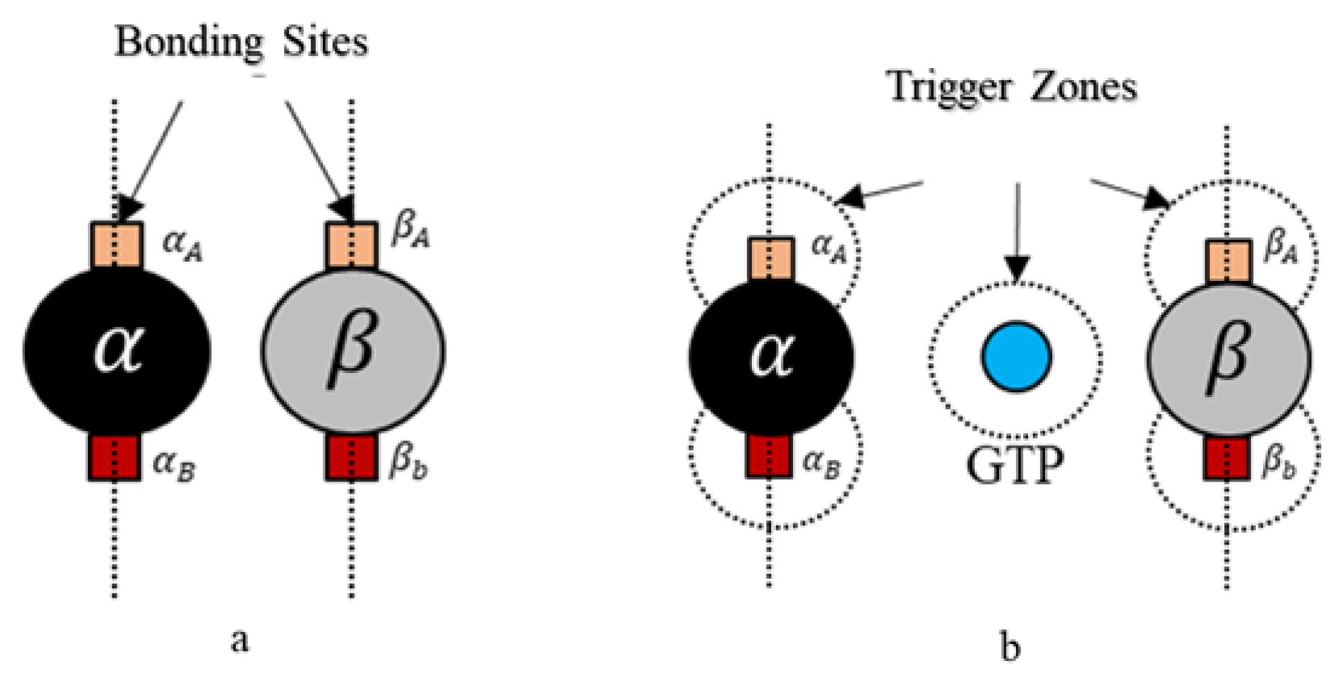 Biomimetics 04 00071 g004