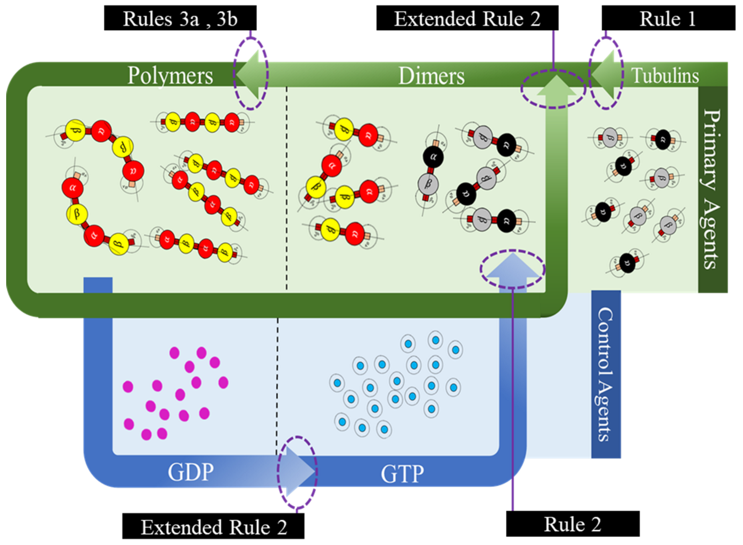 Biomimetics 04 00071 g009