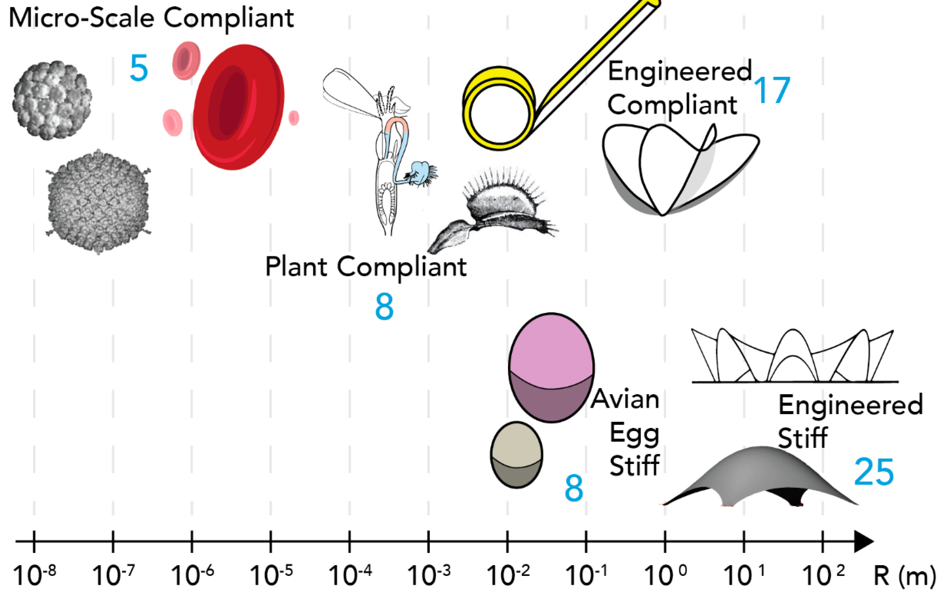 Biomimetics 05 00004 g001