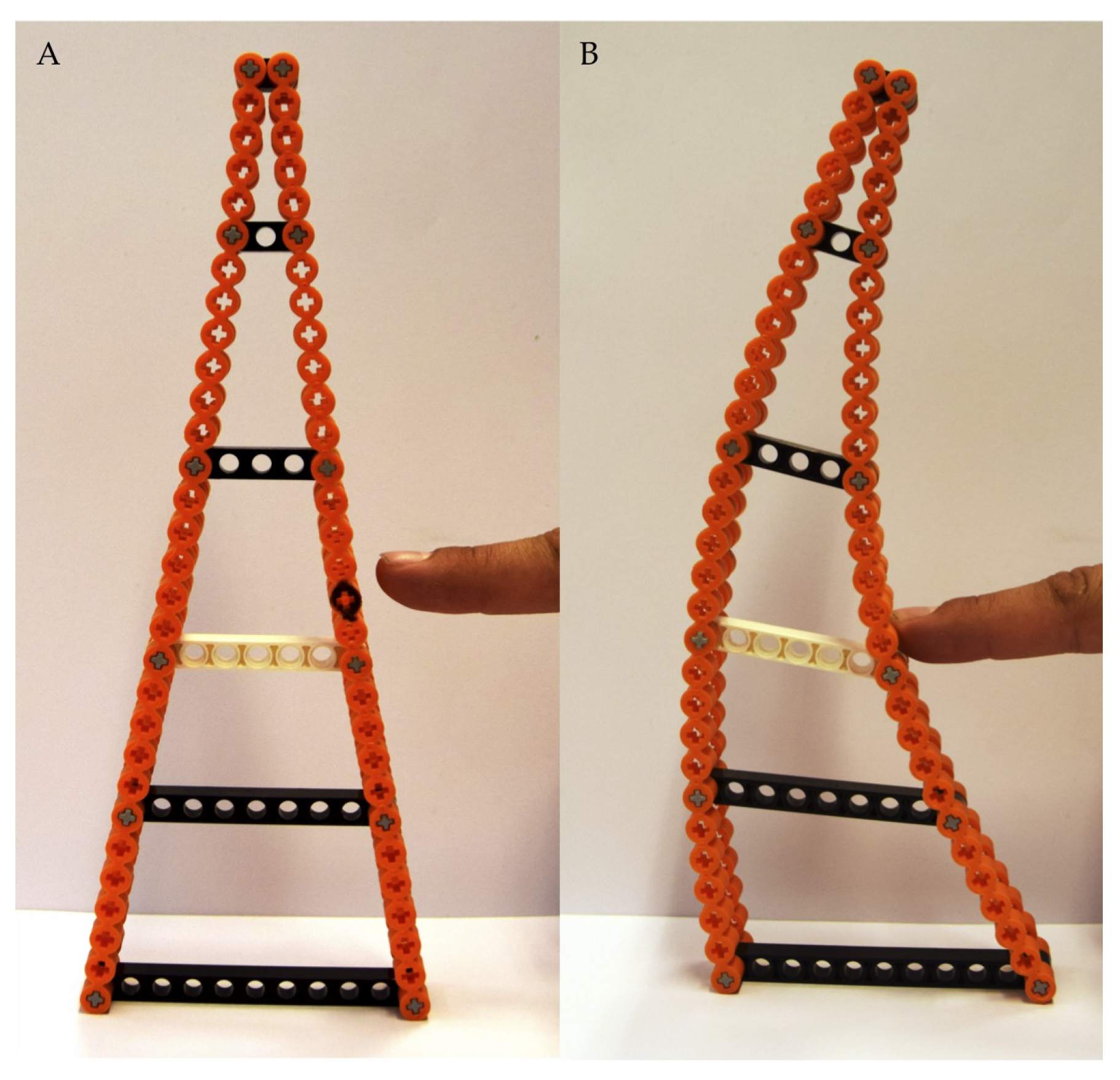 Biomimetics 05 00007 g001