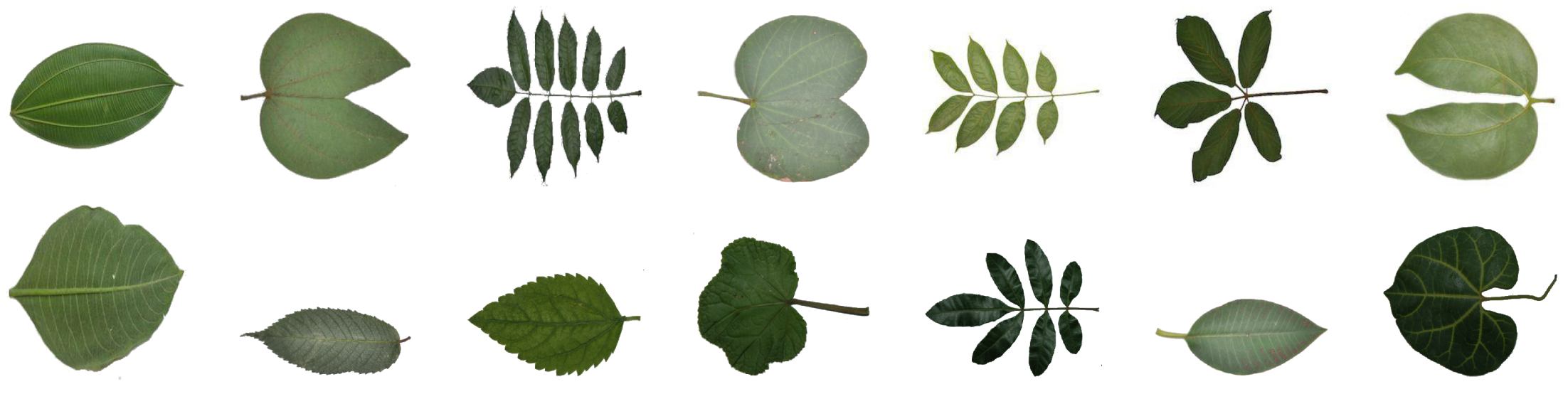 Biomimetics 05 00008 g003