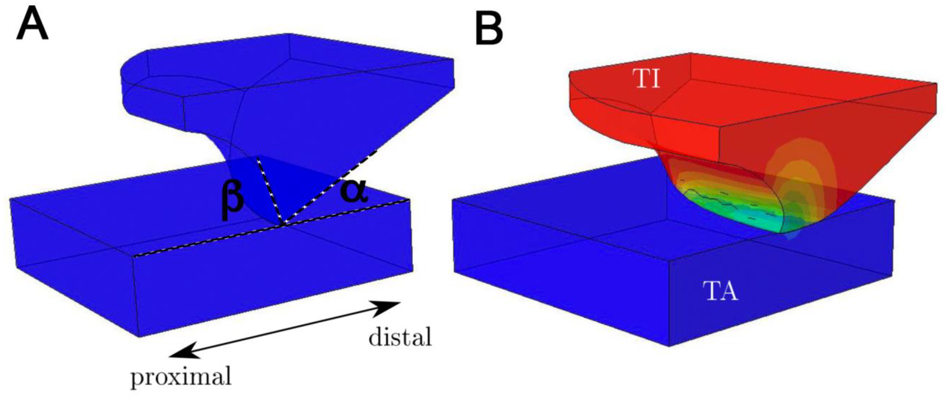 Biomimetics 05 00014 g004
