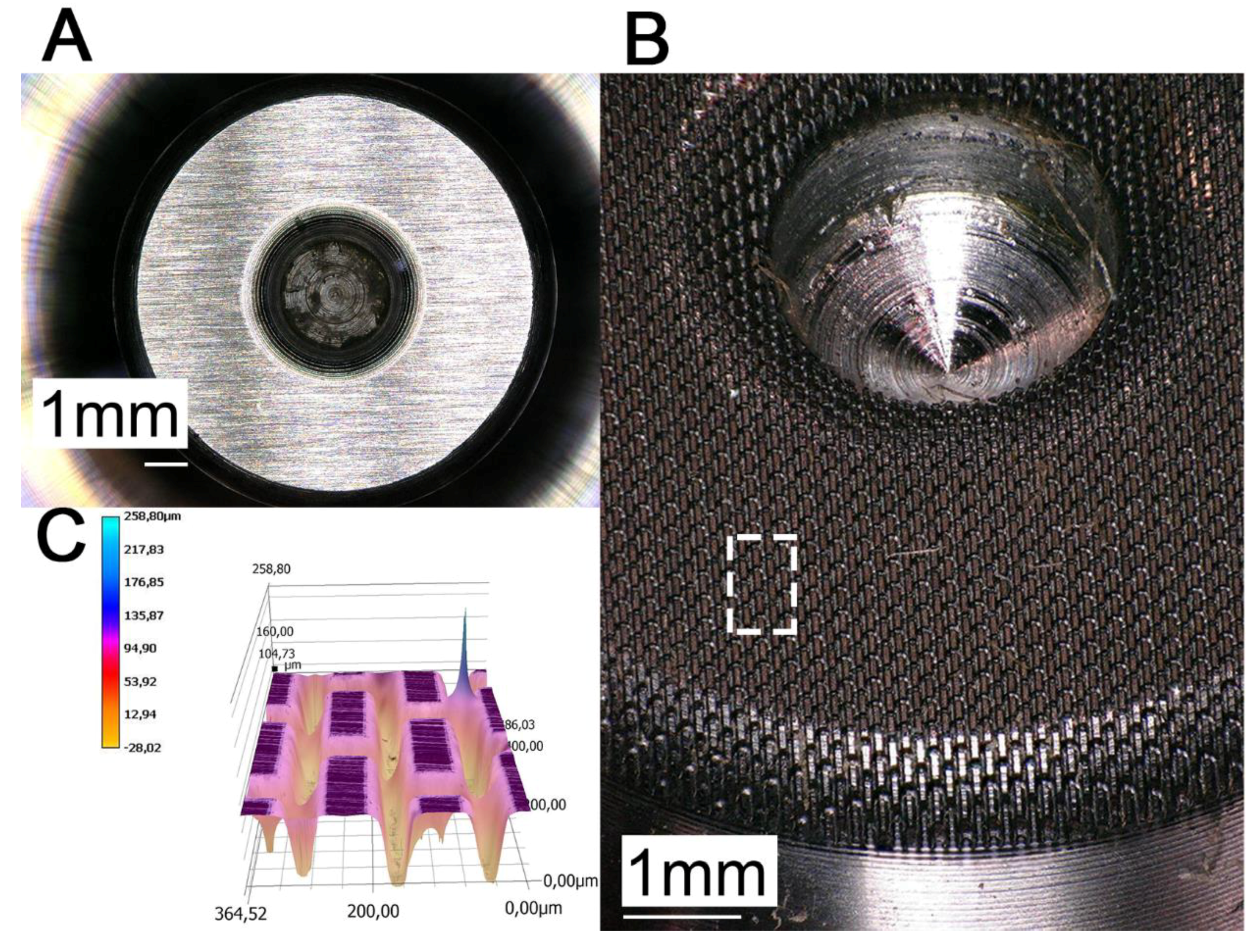 Biomimetics 05 00014 g006
