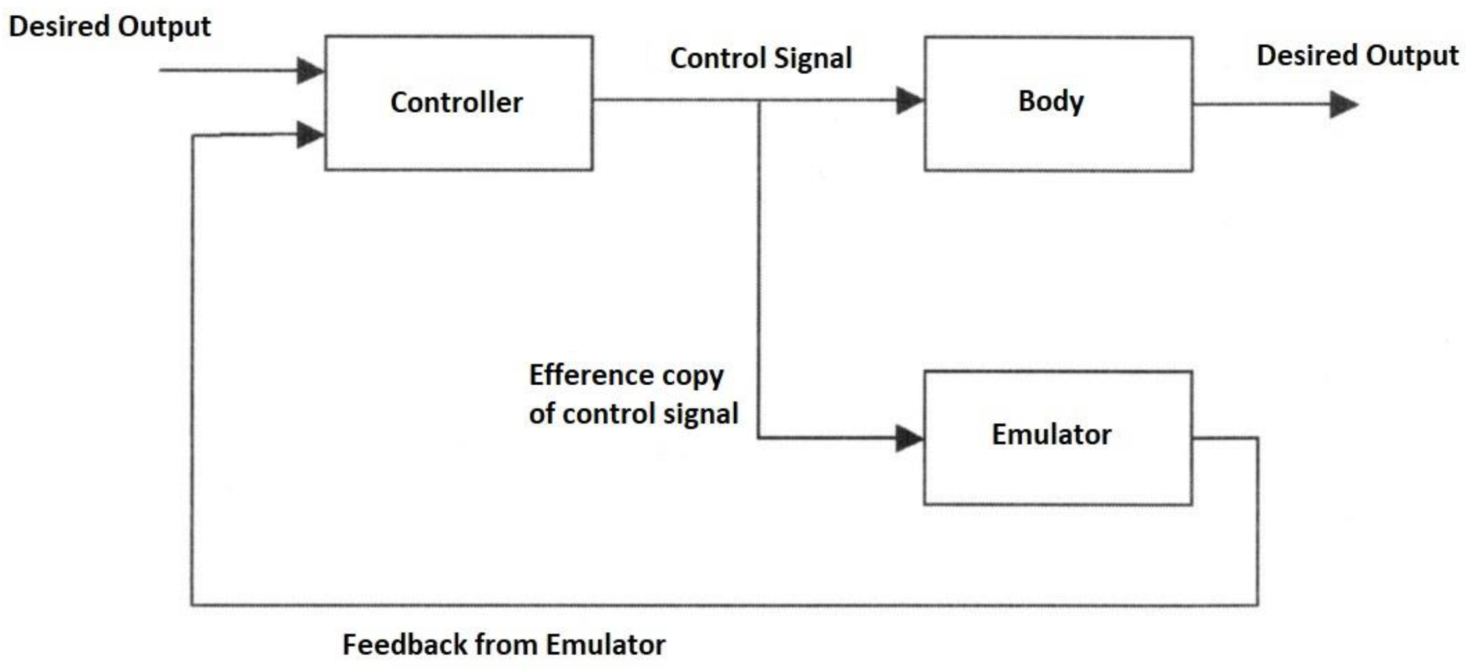 Biomimetics 05 00019 g001