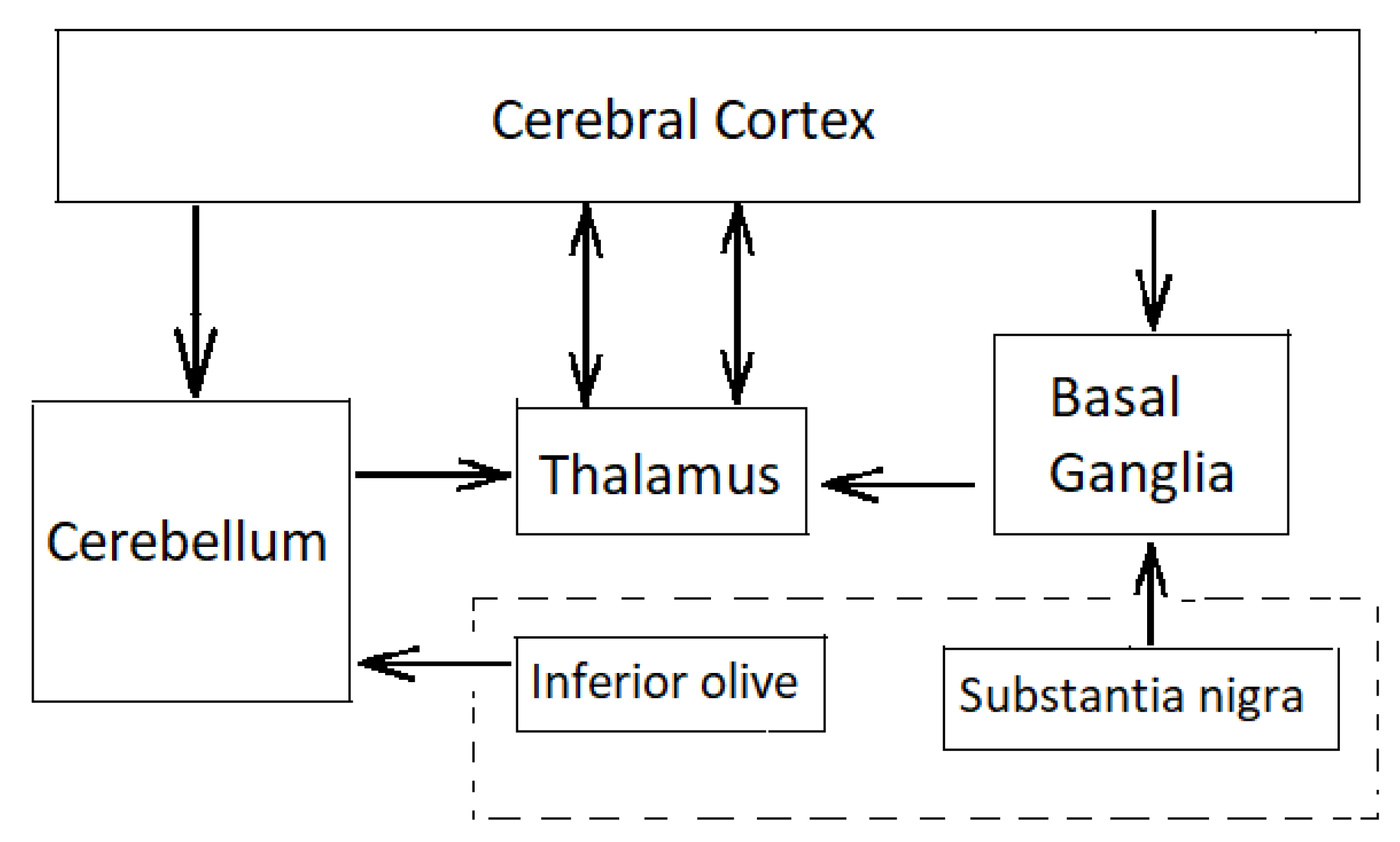 Biomimetics 05 00019 g002