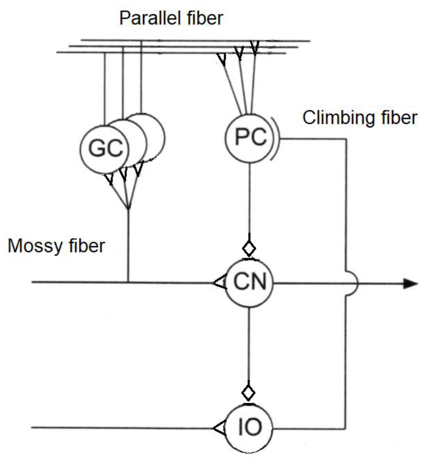 Biomimetics 05 00019 g003