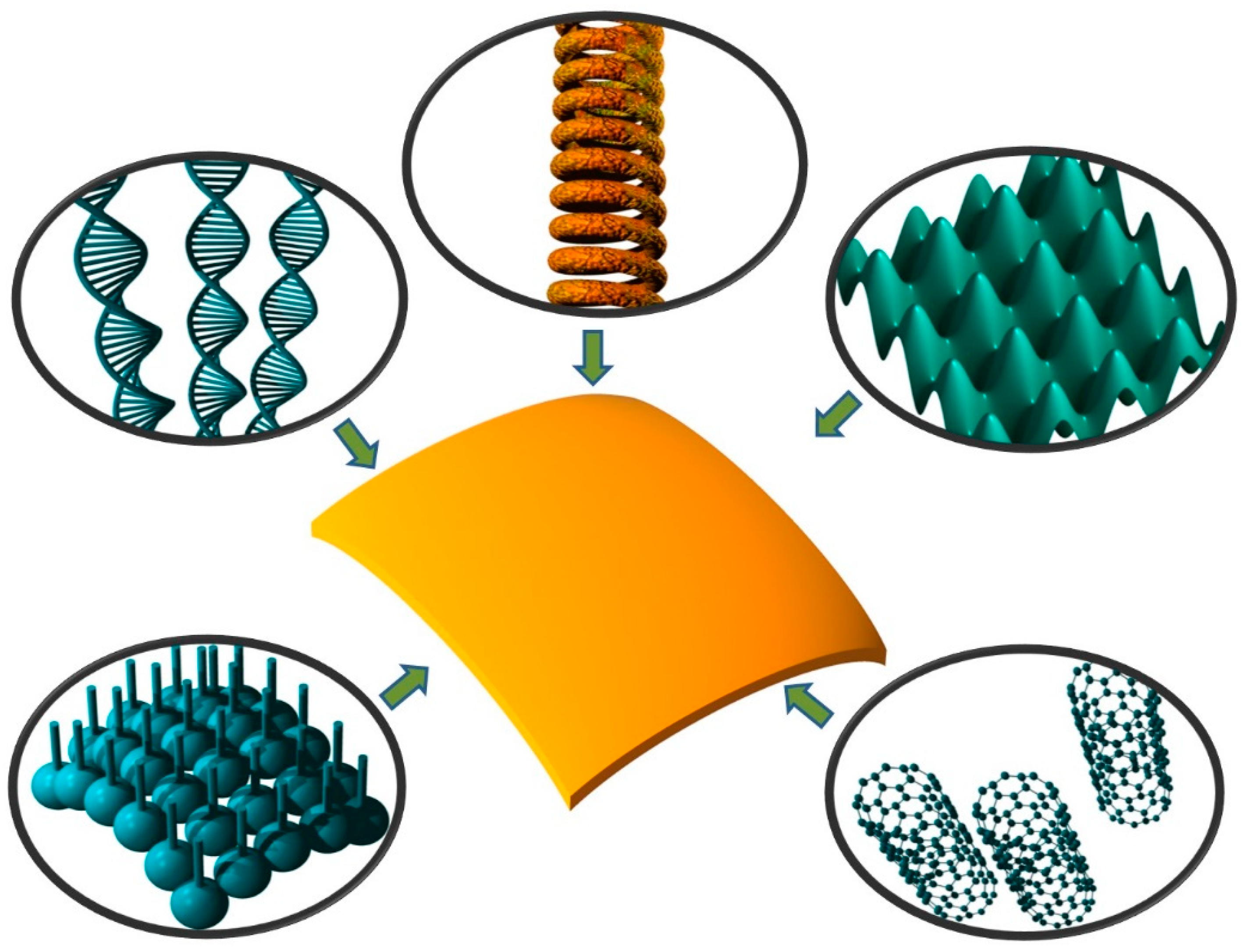 Biomimetics 05 00024 g006