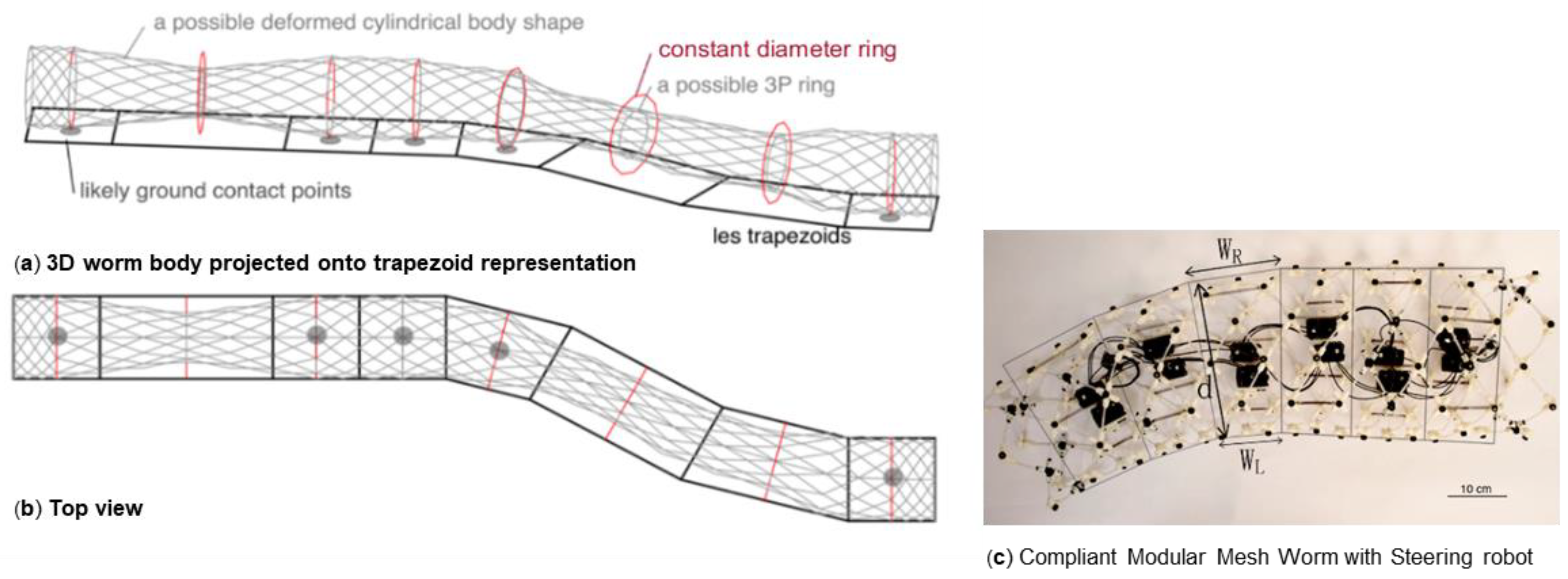 Biomimetics 05 00026 g001 Biomimetics 05 00026 g001