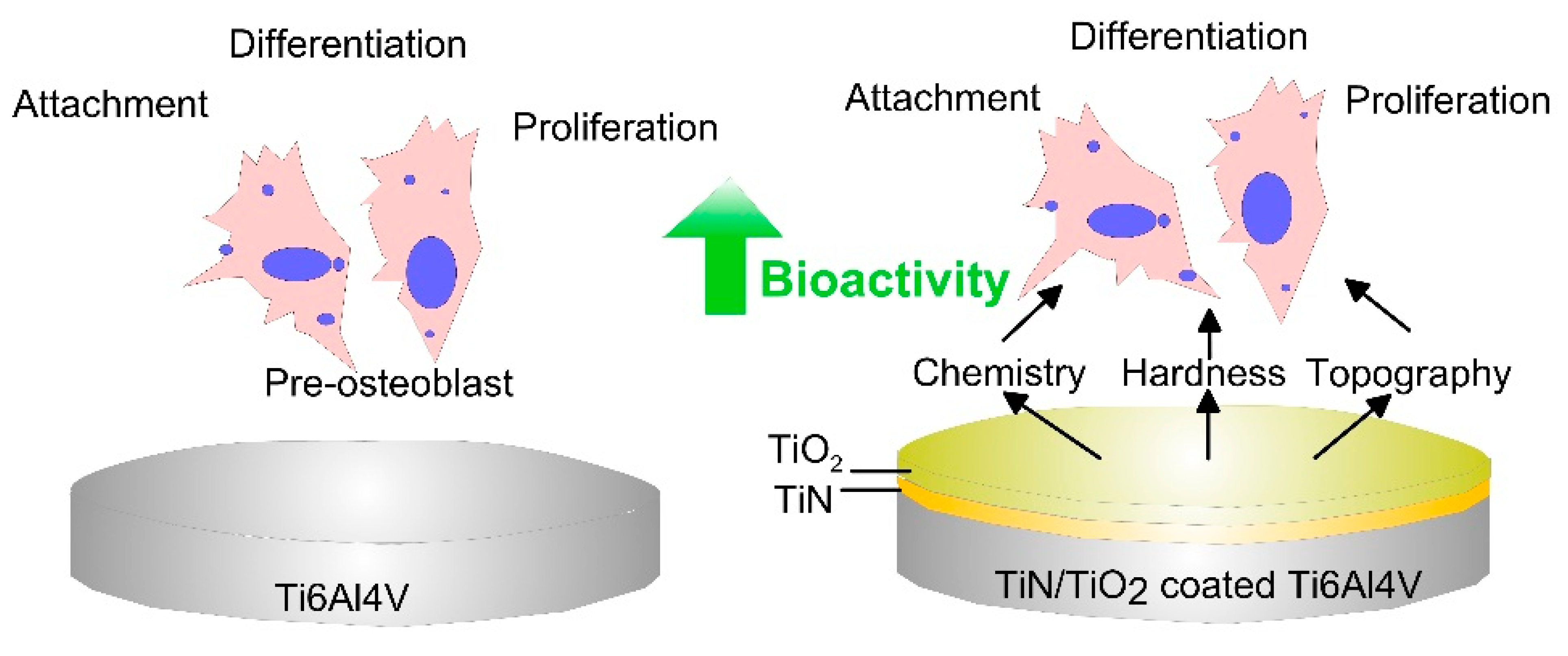 Biomimetics 05 00027 g005