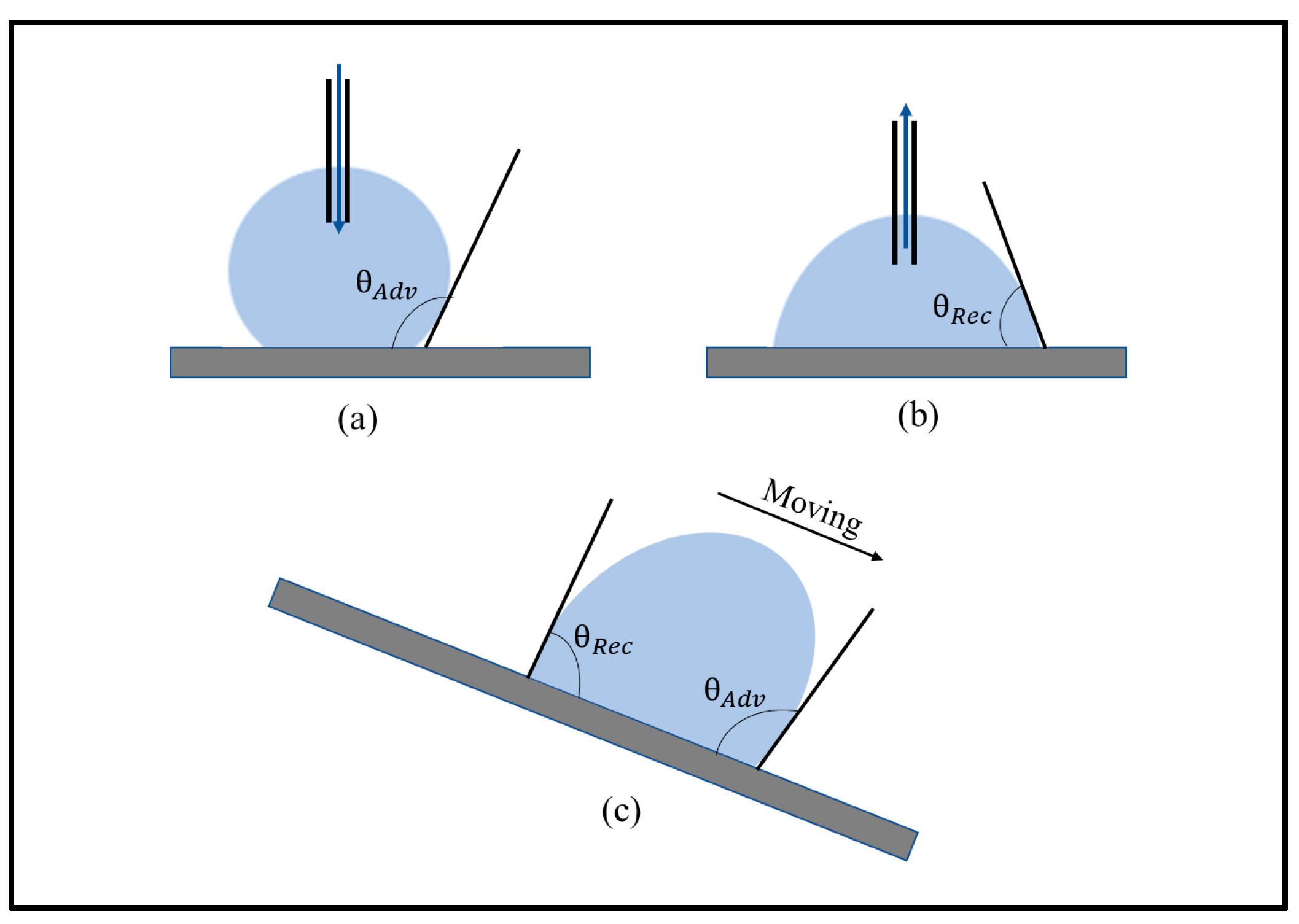 Biomimetics 05 00028 g005