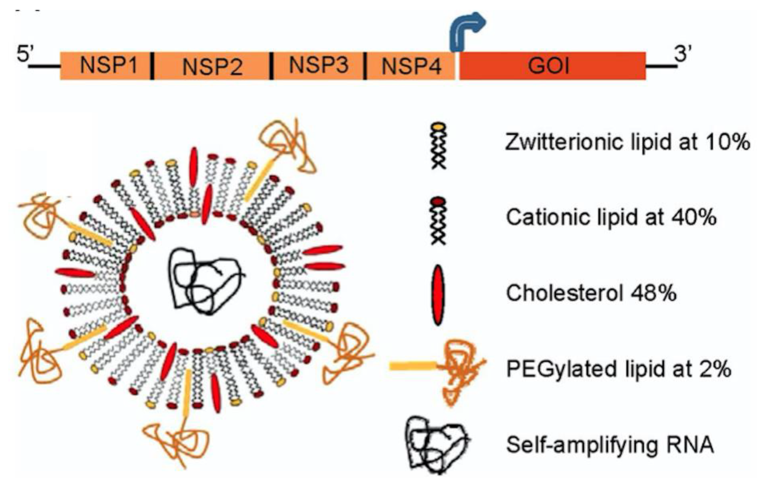 Biomimetics 05 00032 g006