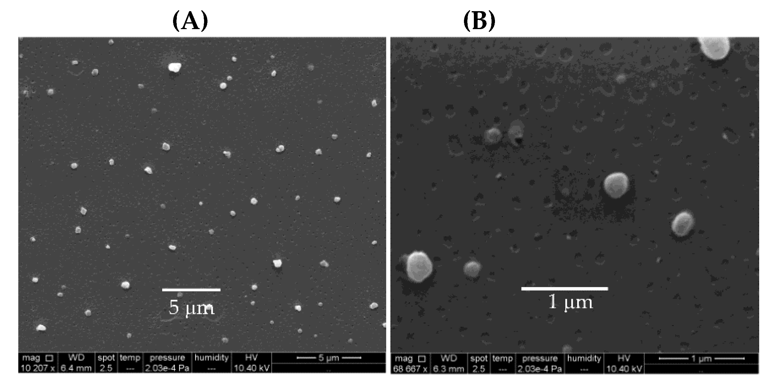 Biomimetics 05 00032 g009