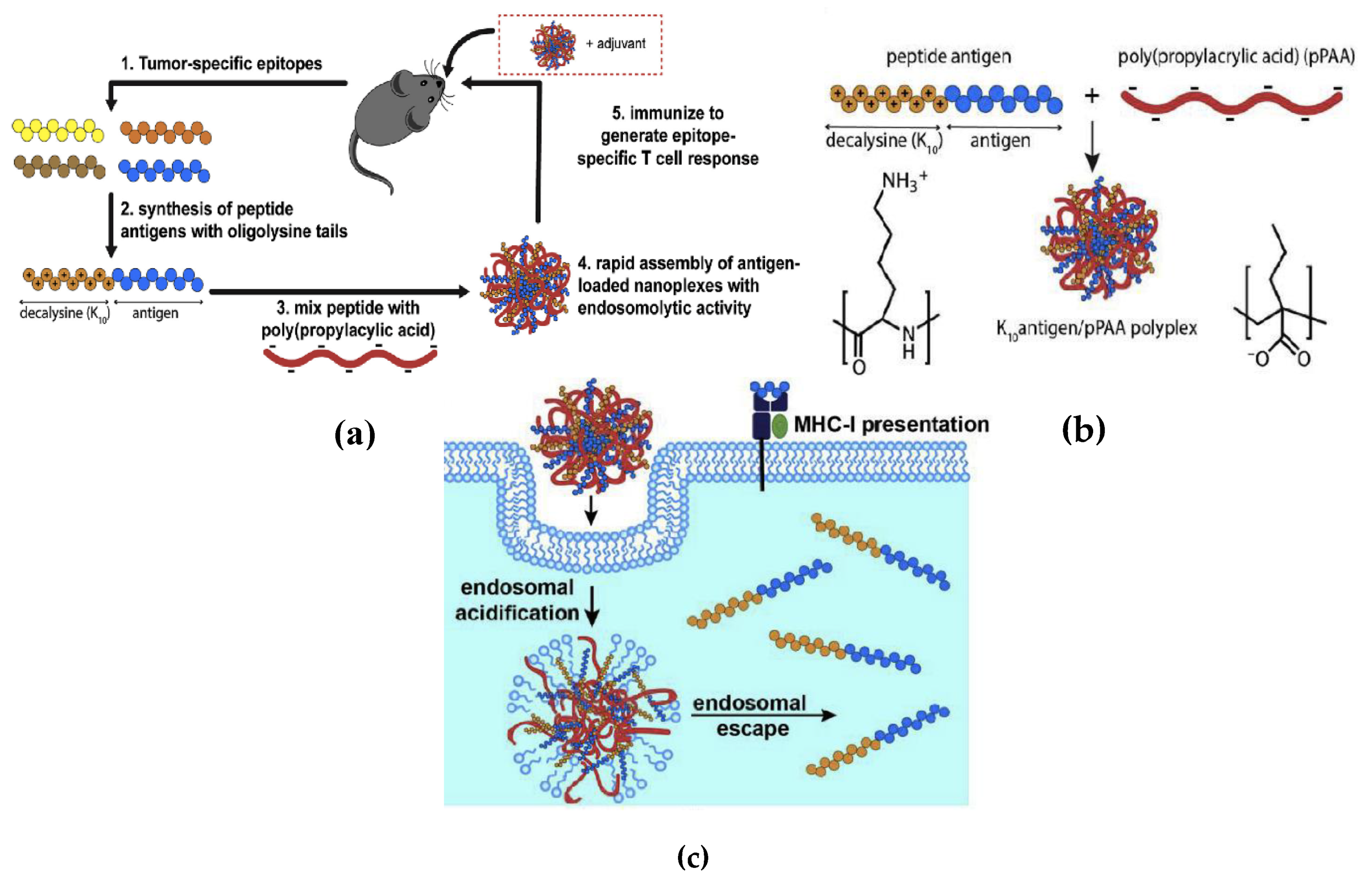 Biomimetics 05 00032 g016