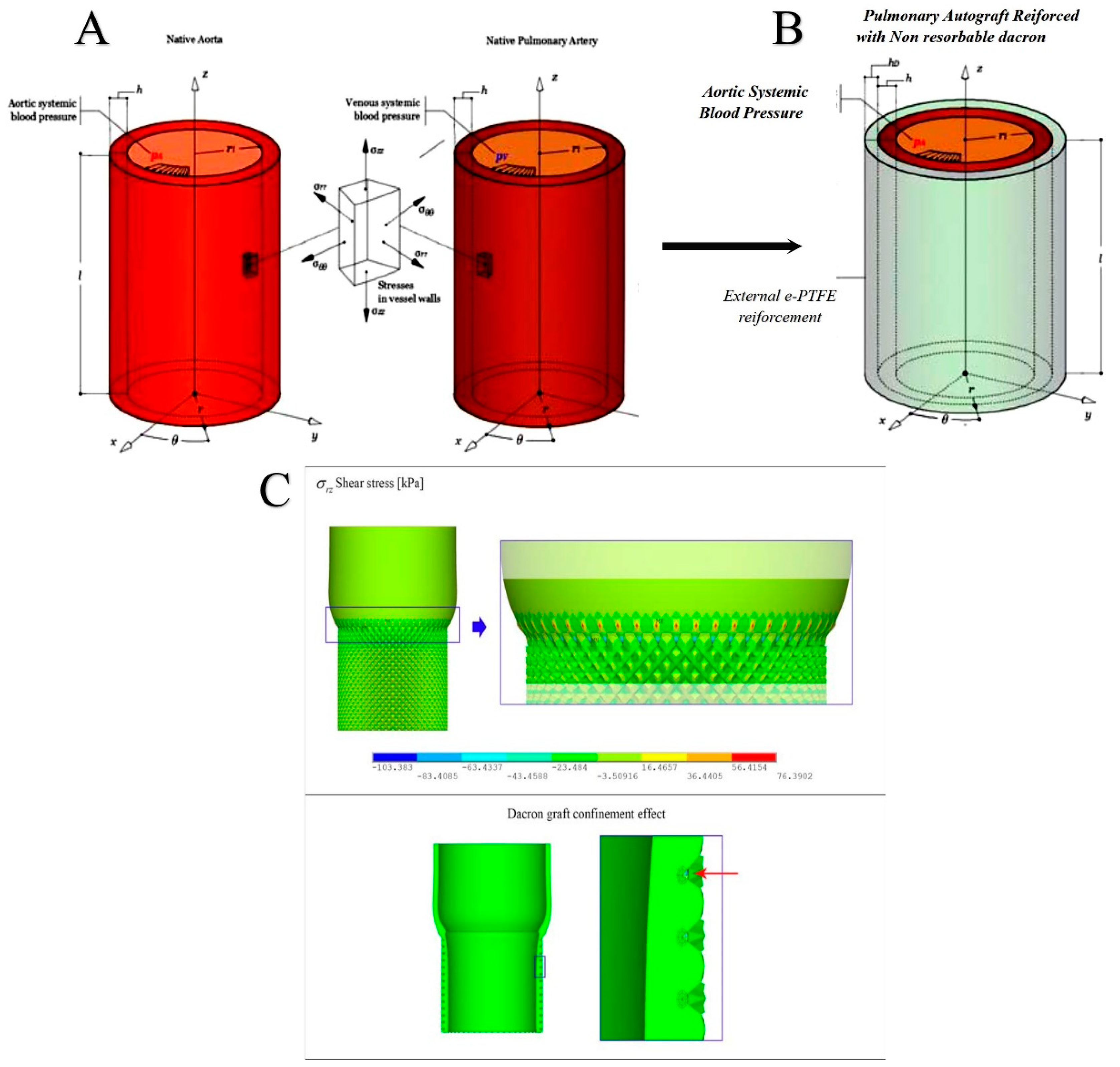 Biomimetics 05 00037 g003