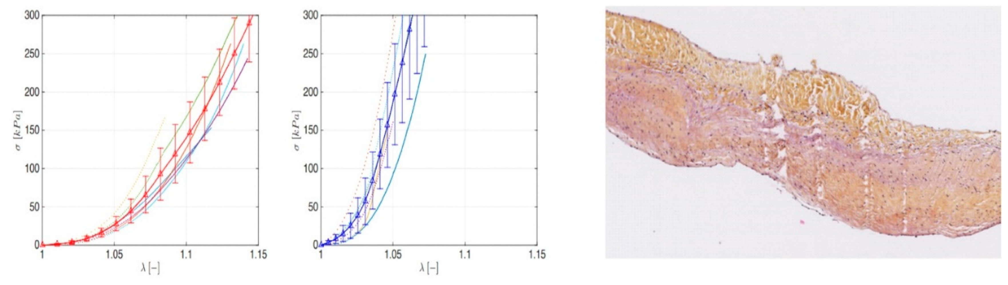 Biomimetics 05 00037 g006