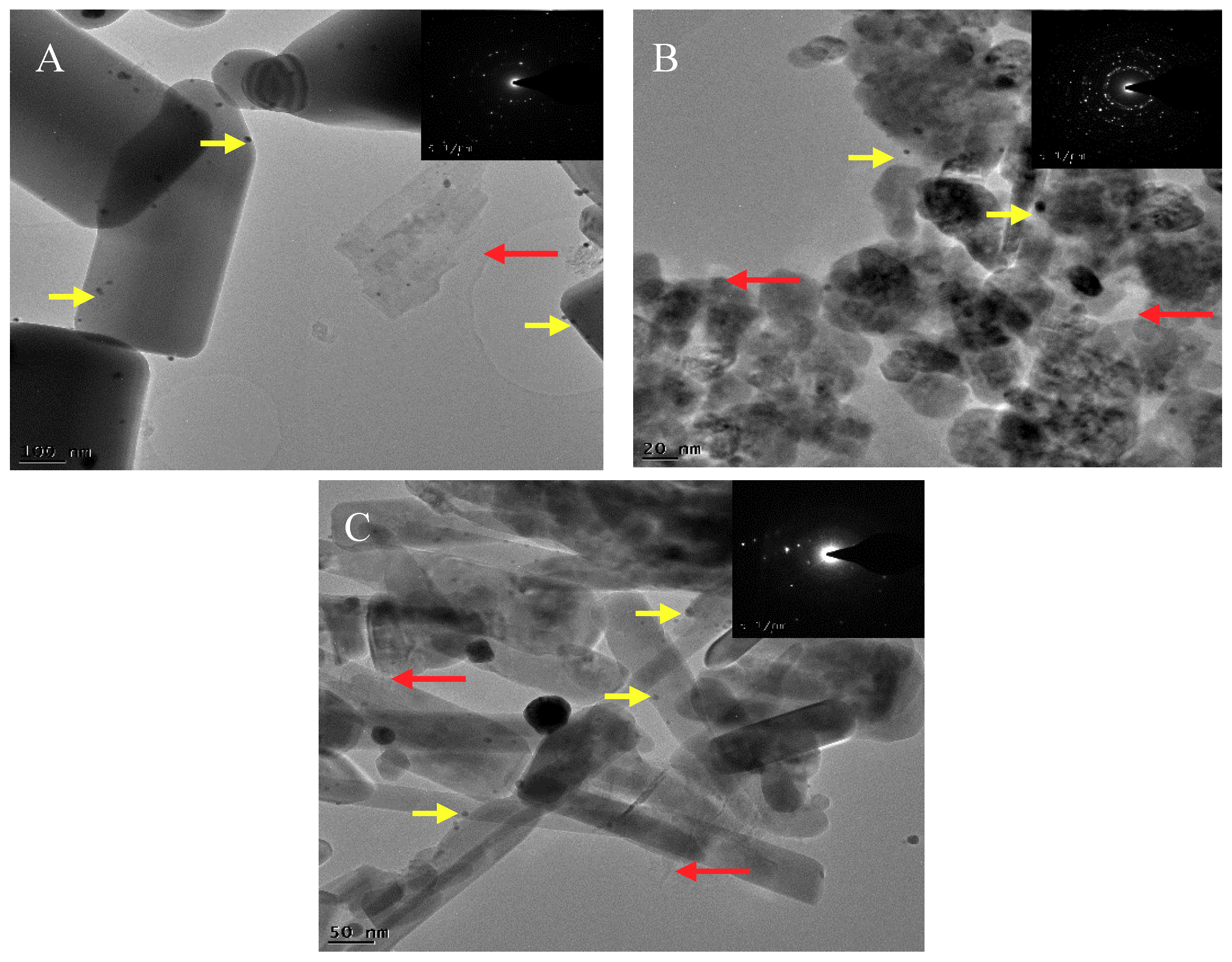 Biomimetics 05 00039 g001