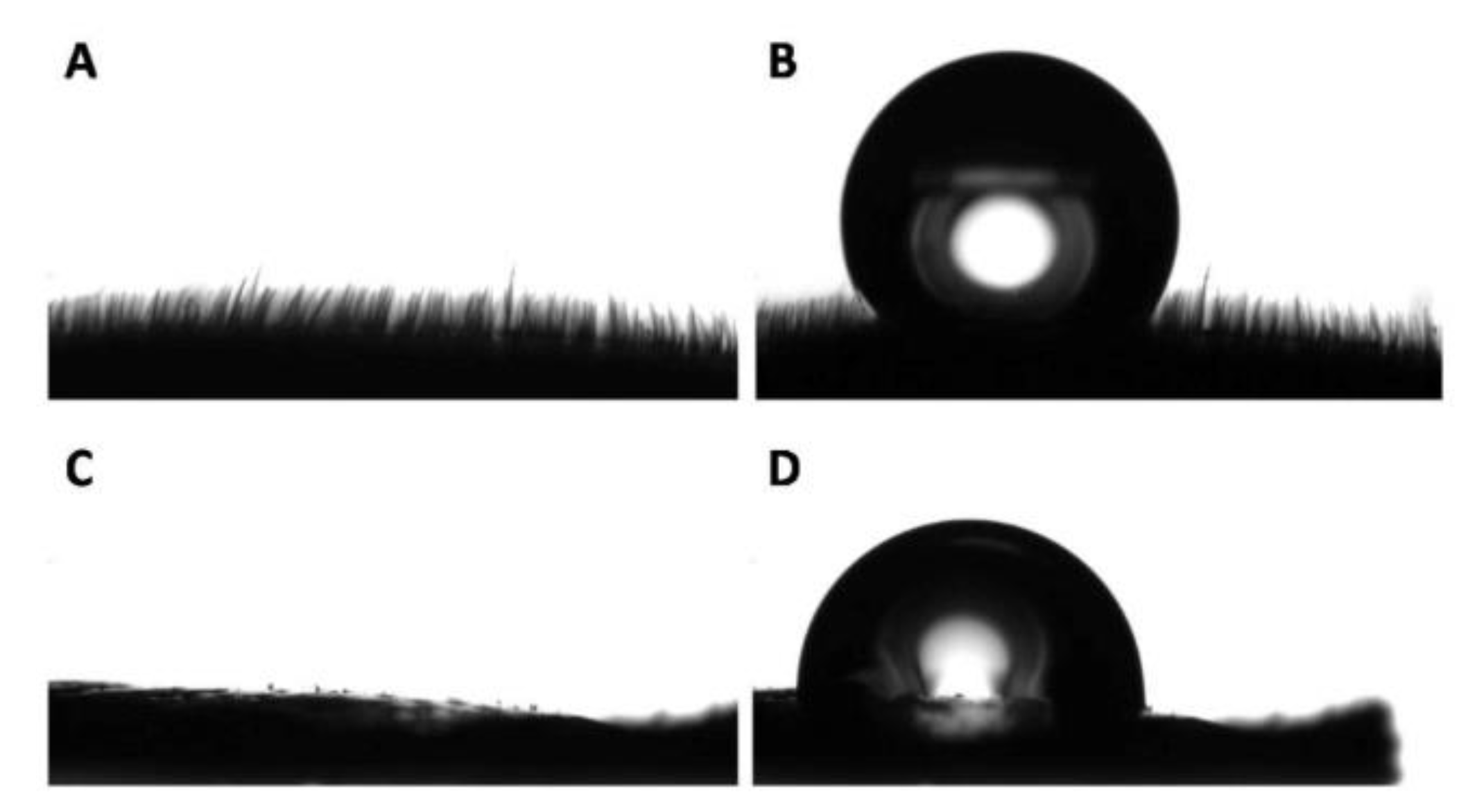 Biomimetics 05 00040 g010