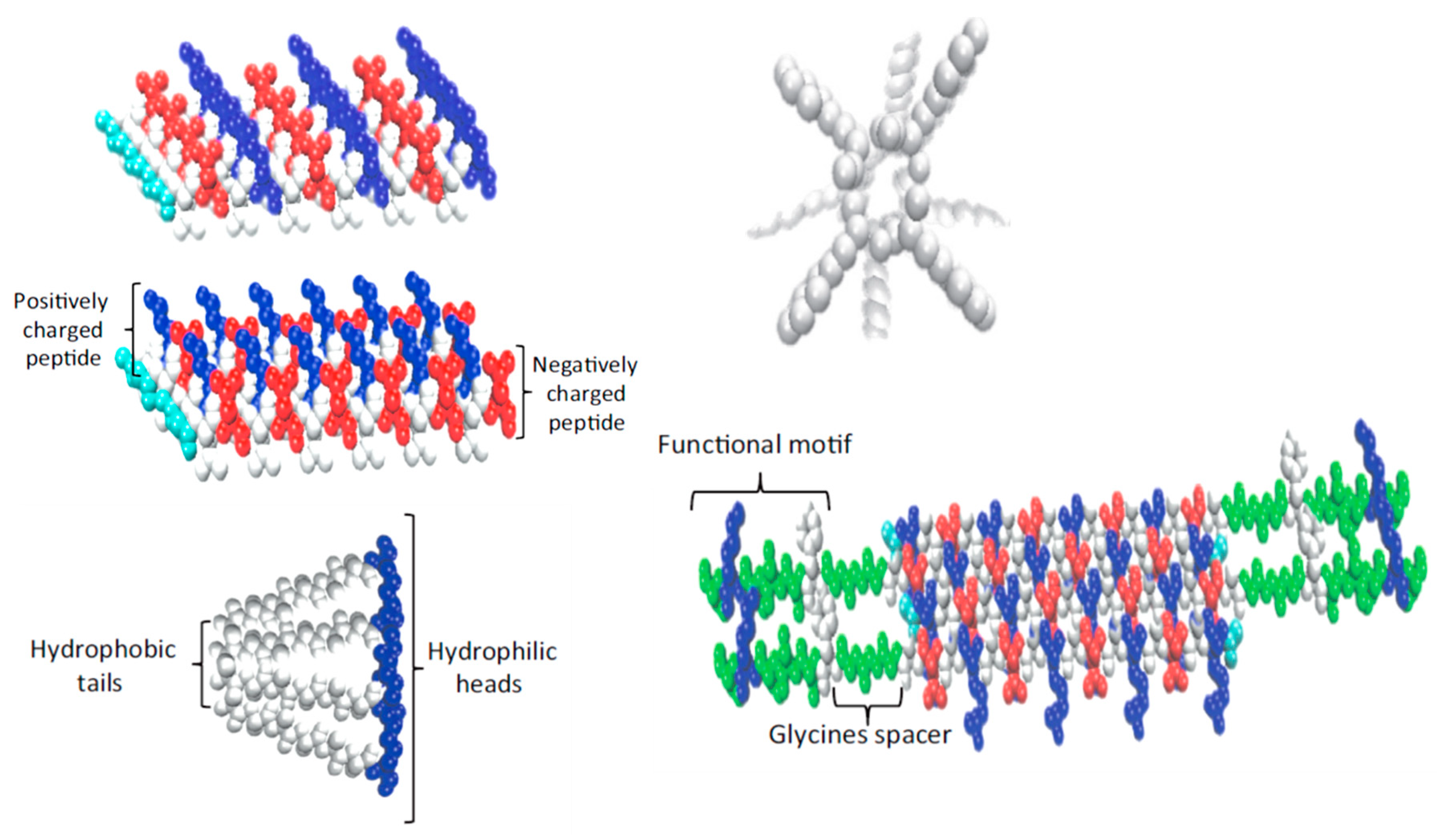 Biomimetics 05 00049 g002