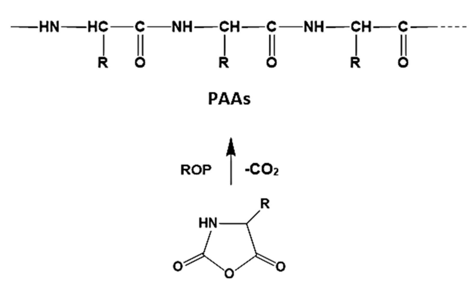 Biomimetics 05 00049 g003