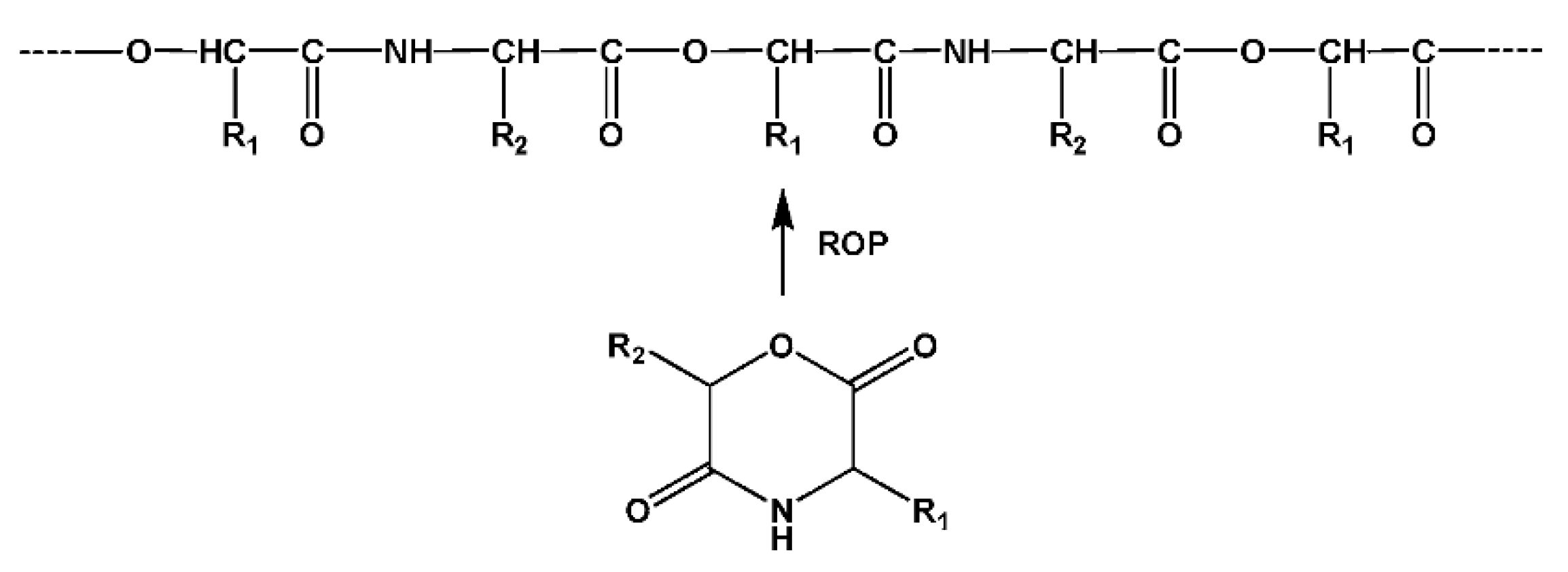 Biomimetics 05 00049 g009