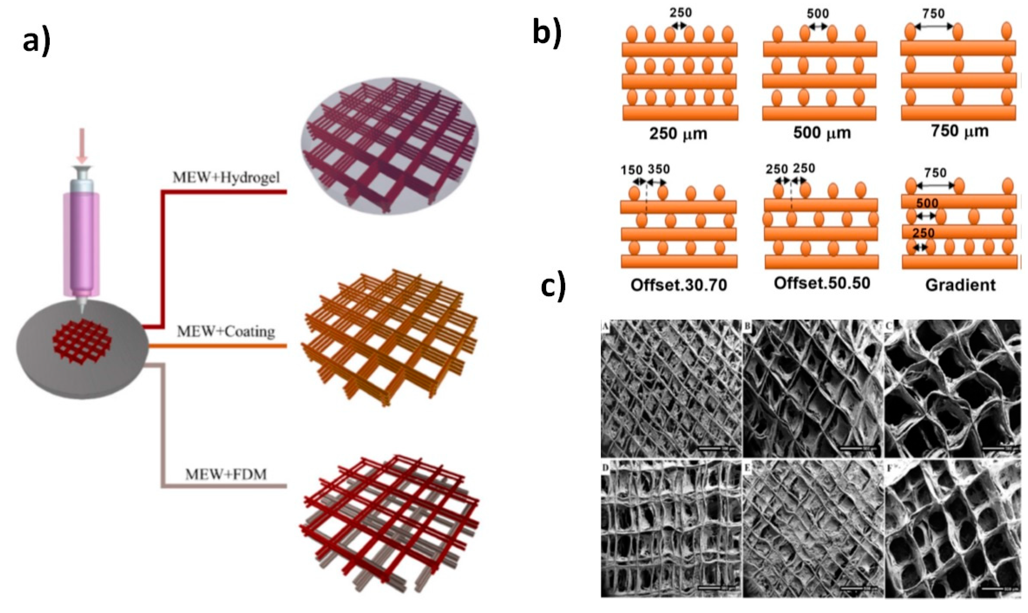 Biomimetics 05 00049 g021