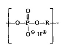 Biomimetics 05 00049 i001