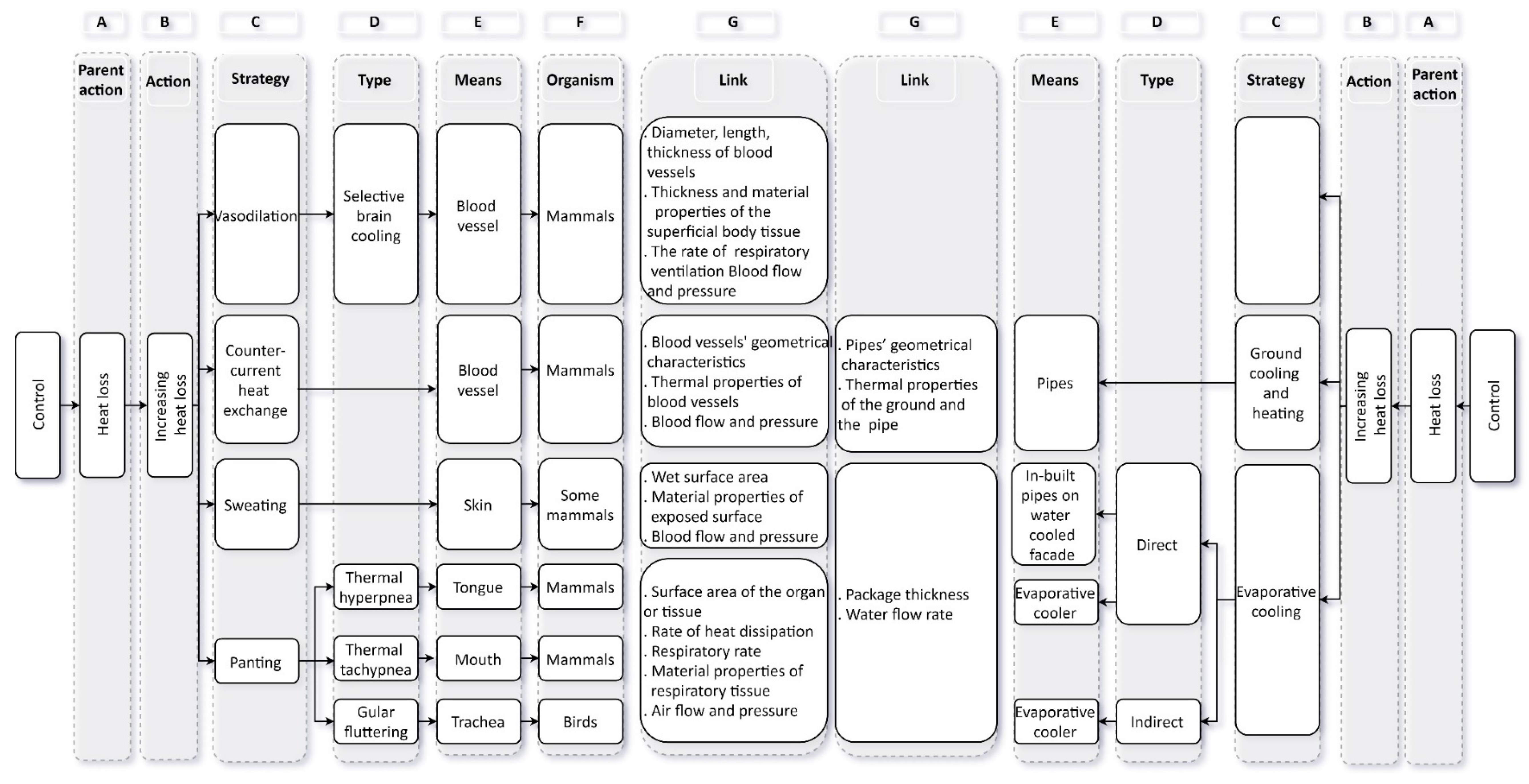 Biomimetics 05 00050 g001