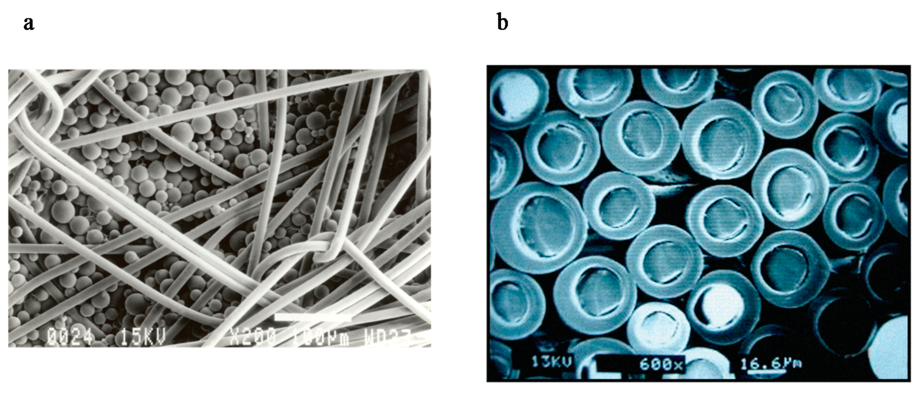 Biomimetics 05 00052 g002 Biomimetics 05 00052 g002