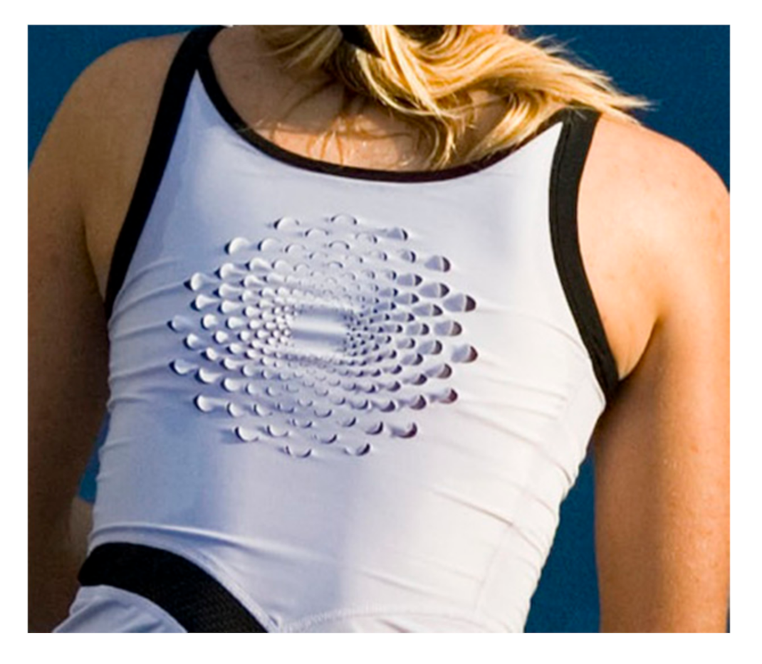 Biomimetics 05 00052 g006 Biomimetics 05 00052 g006