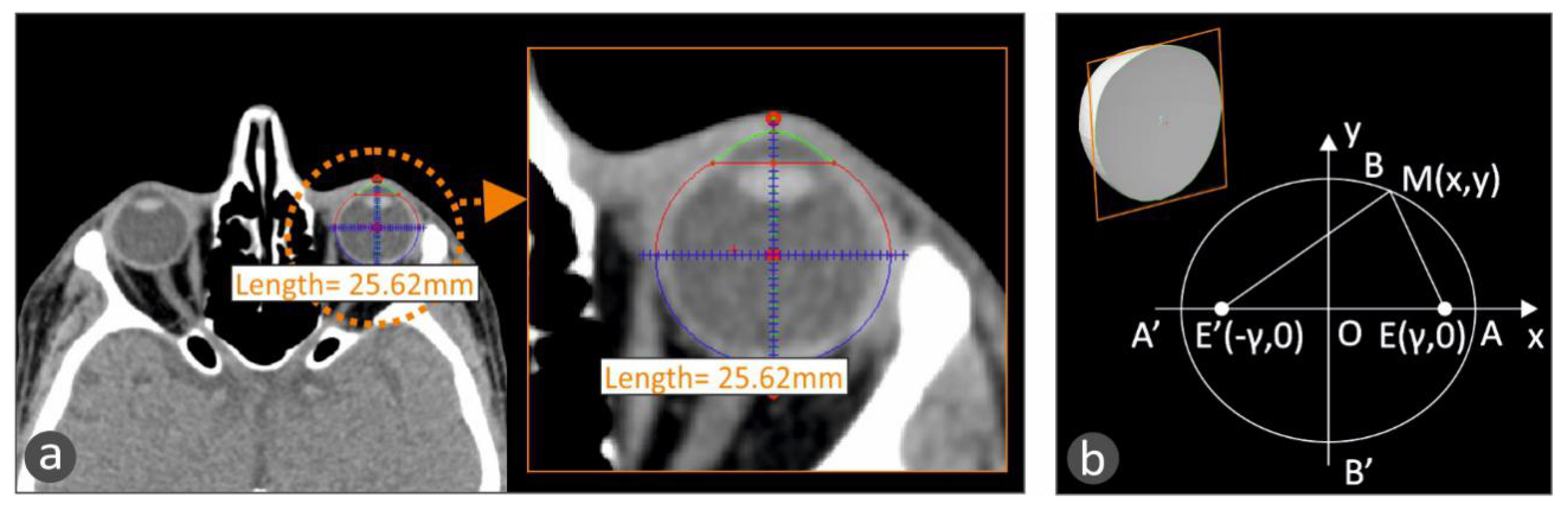 Biomimetics 05 00054 g002