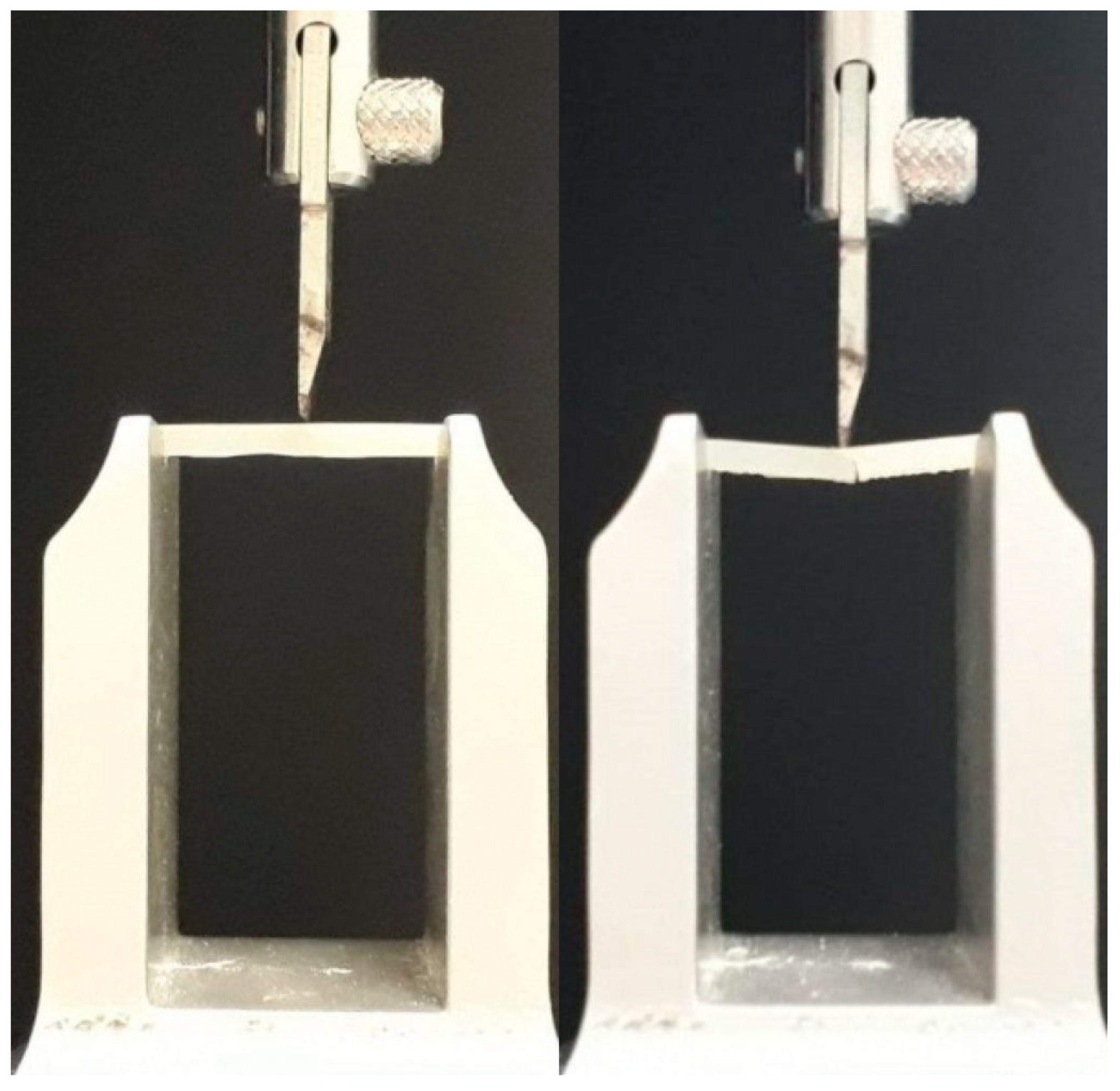 Biomimetics 05 00056 g001