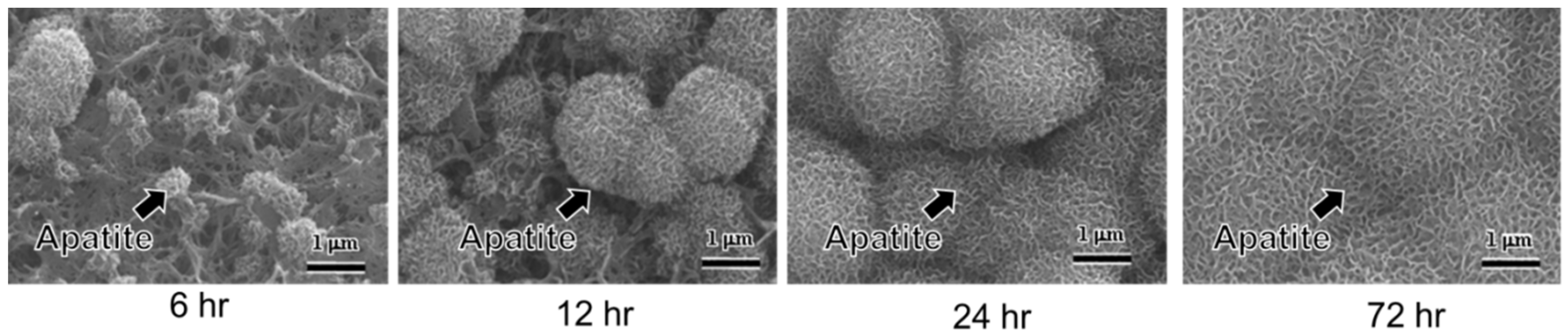 Biomimetics 05 00057 g001