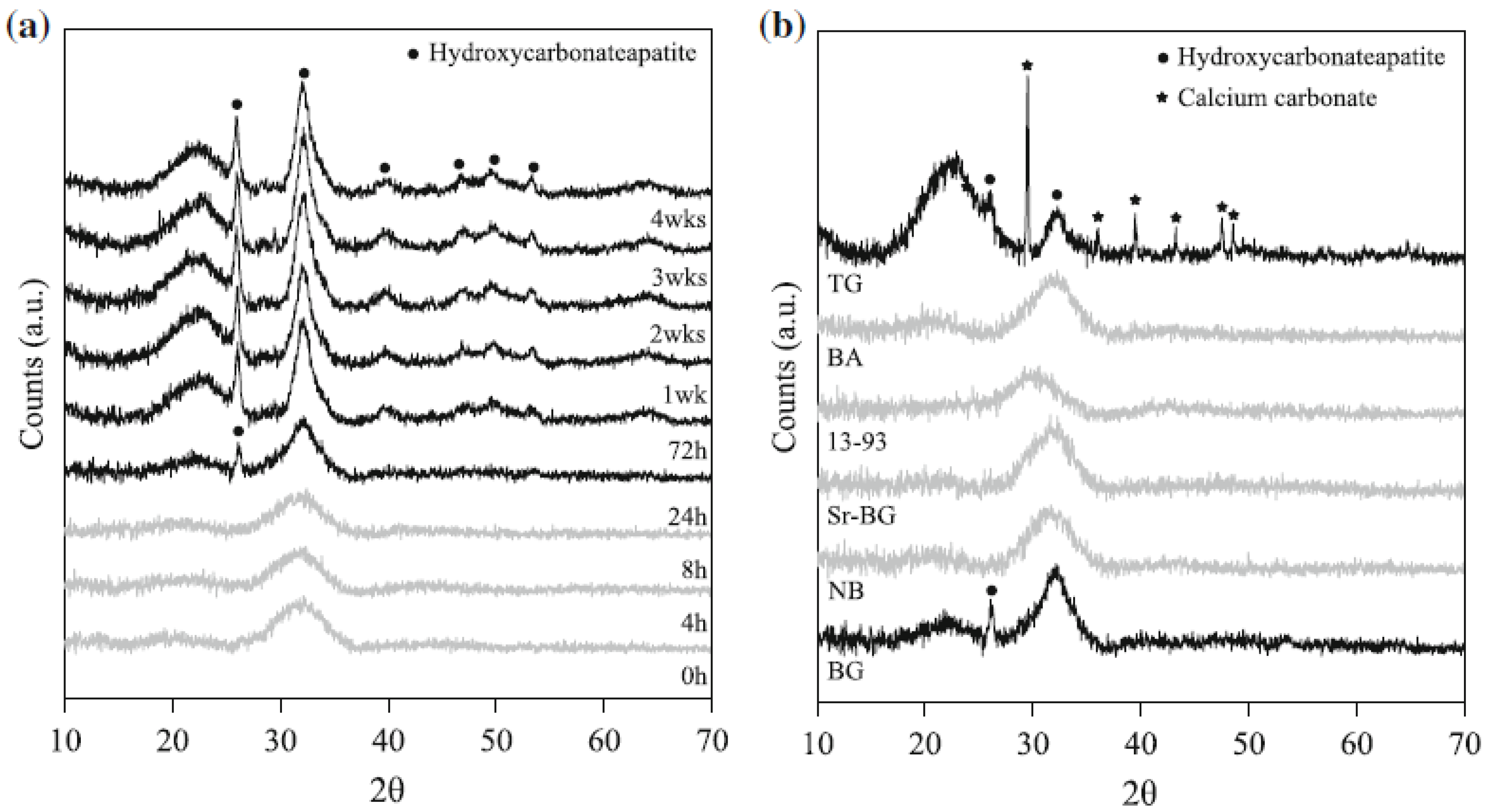 Biomimetics 05 00057 g003