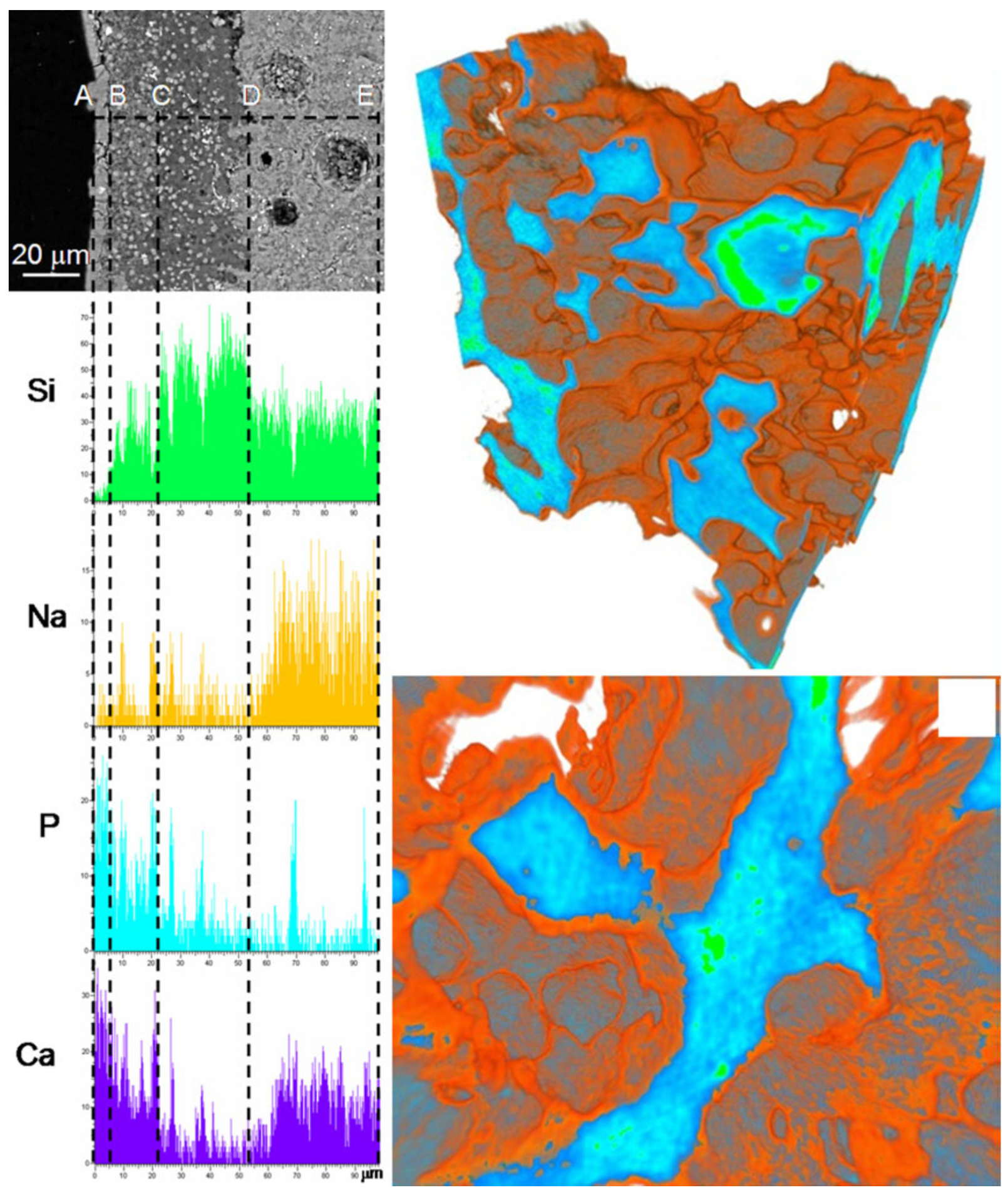 Biomimetics 05 00057 g005