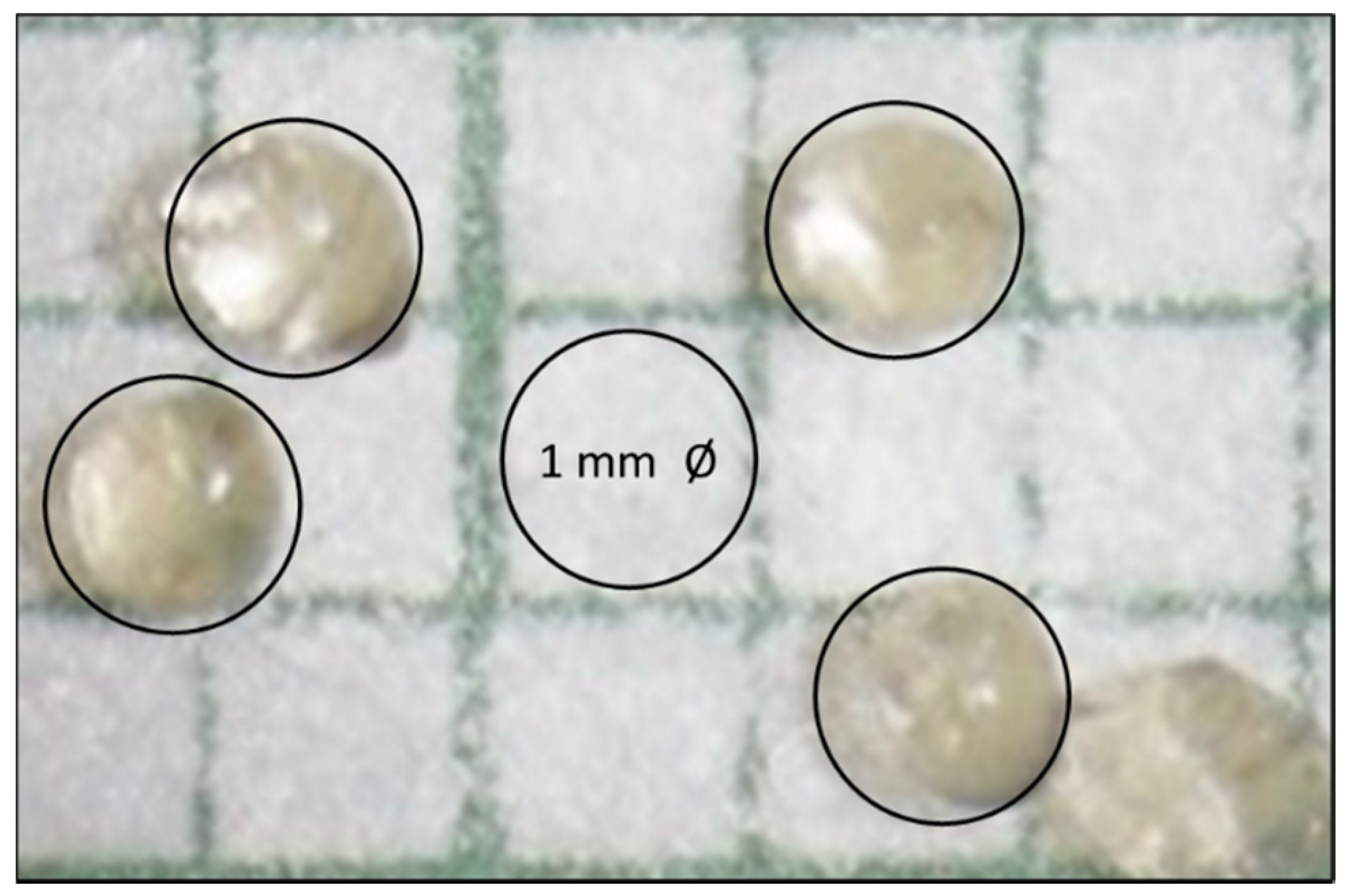 Biomimetics 05 00063 g004