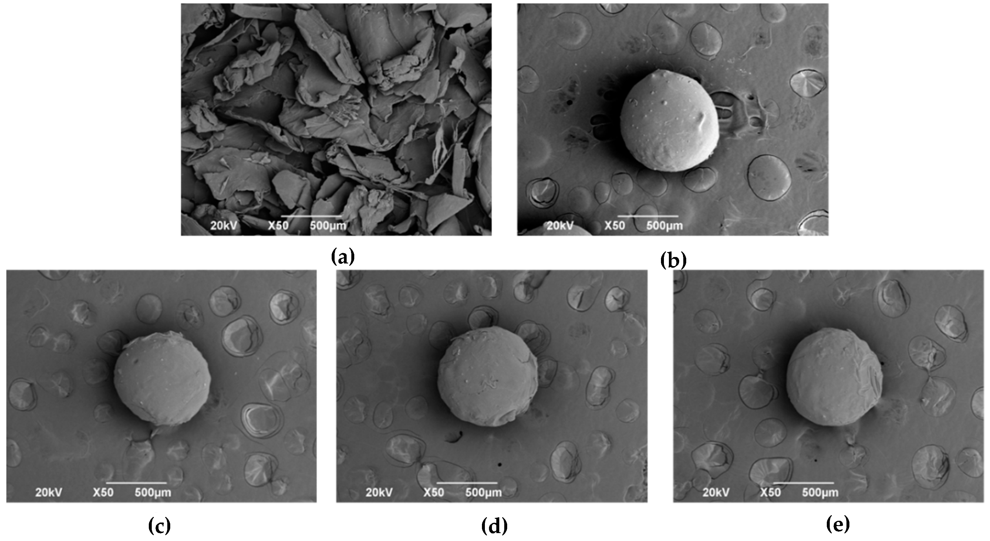 Biomimetics 05 00063 g005