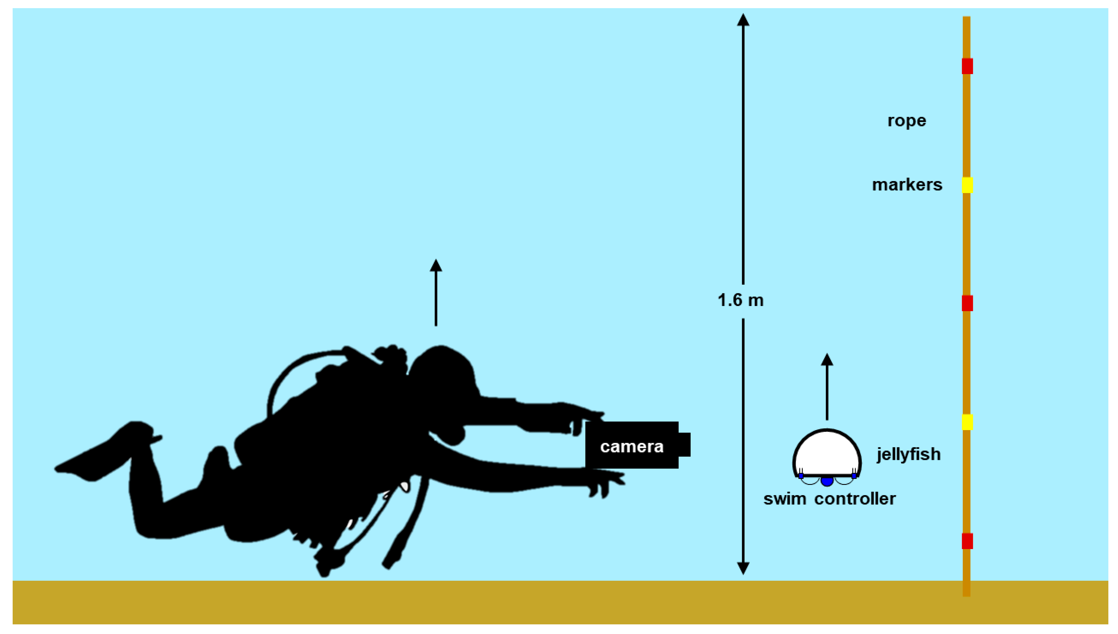 Biomimetics 05 00064 g002