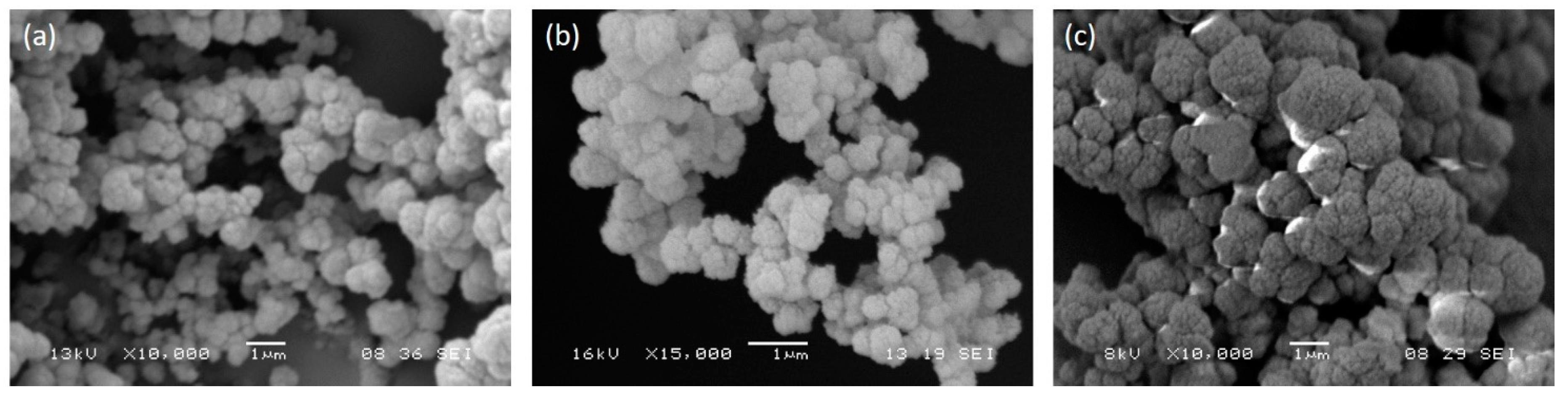 Biomimetics 05 00067 g001 Biomimetics 05 00067 g001