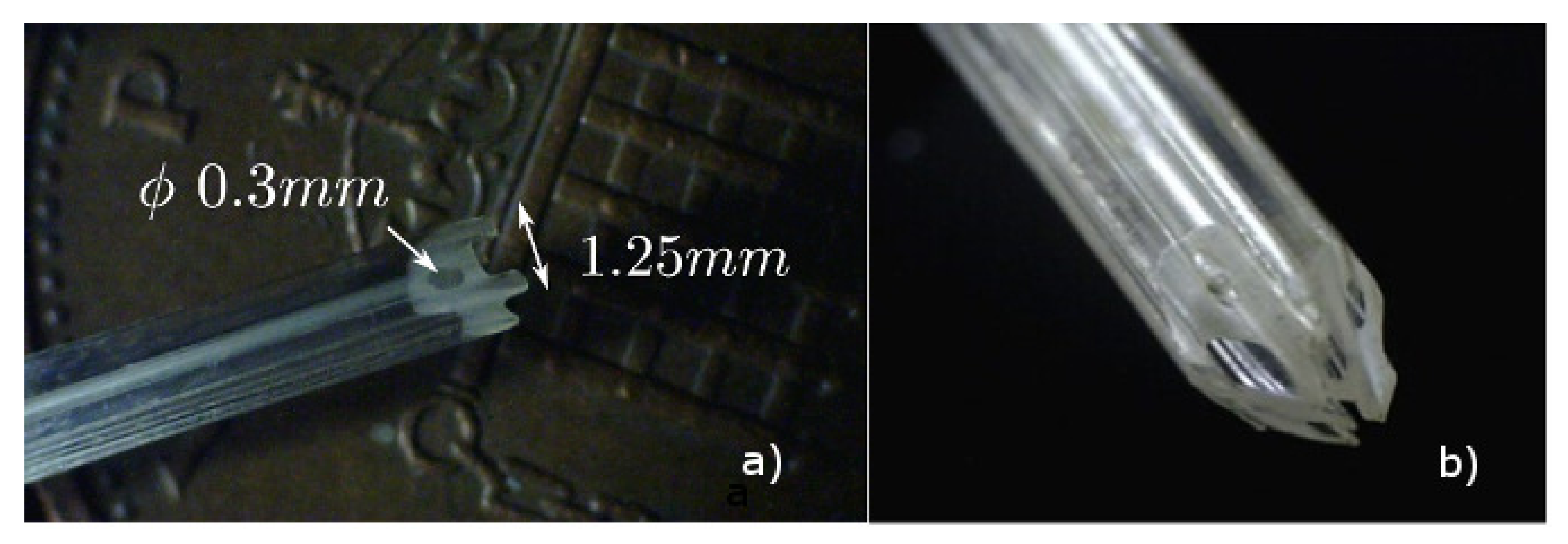 Biomimetics 05 00068 g003 Biomimetics 05 00068 g003