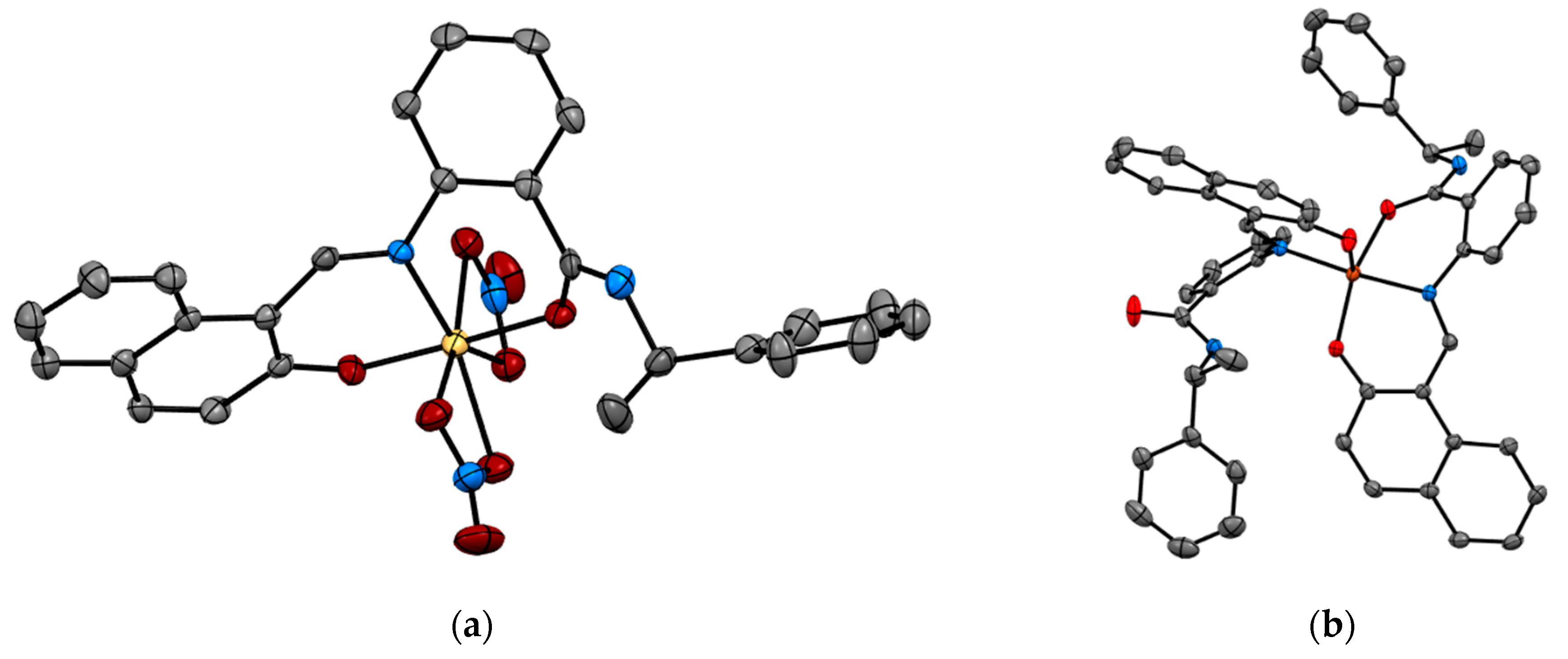 Biomimetics 06 00001 g003