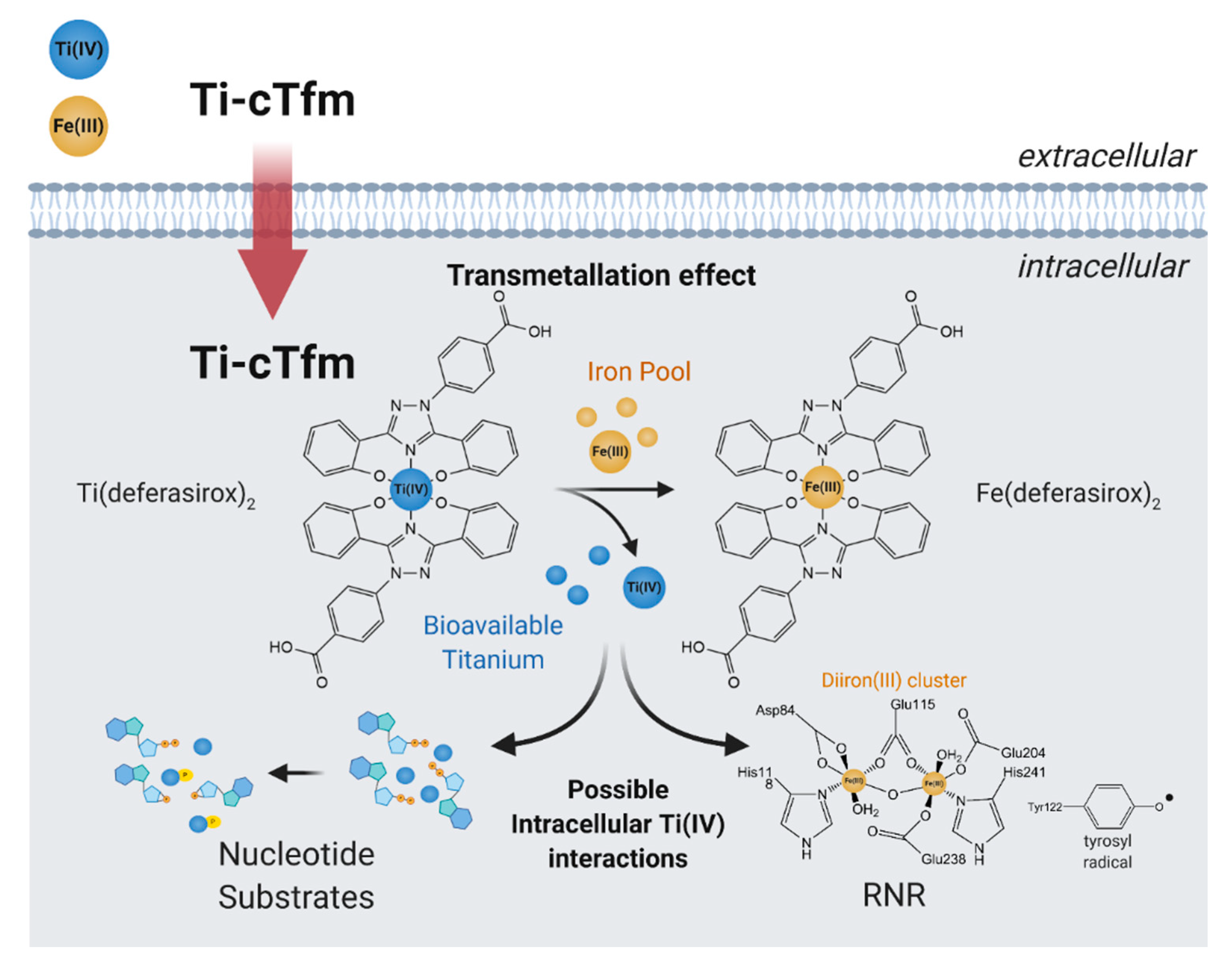 Biomimetics 06 00001 g007