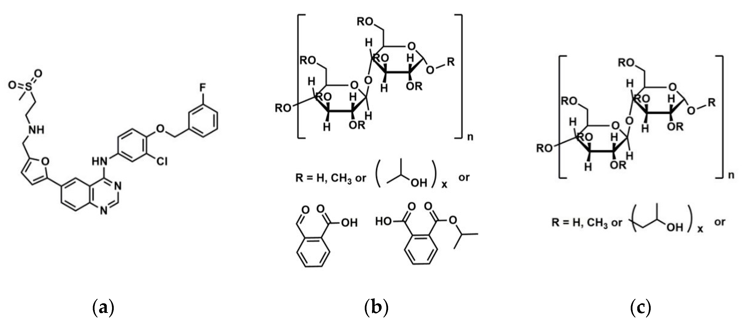 Biomimetics 06 00001 g011