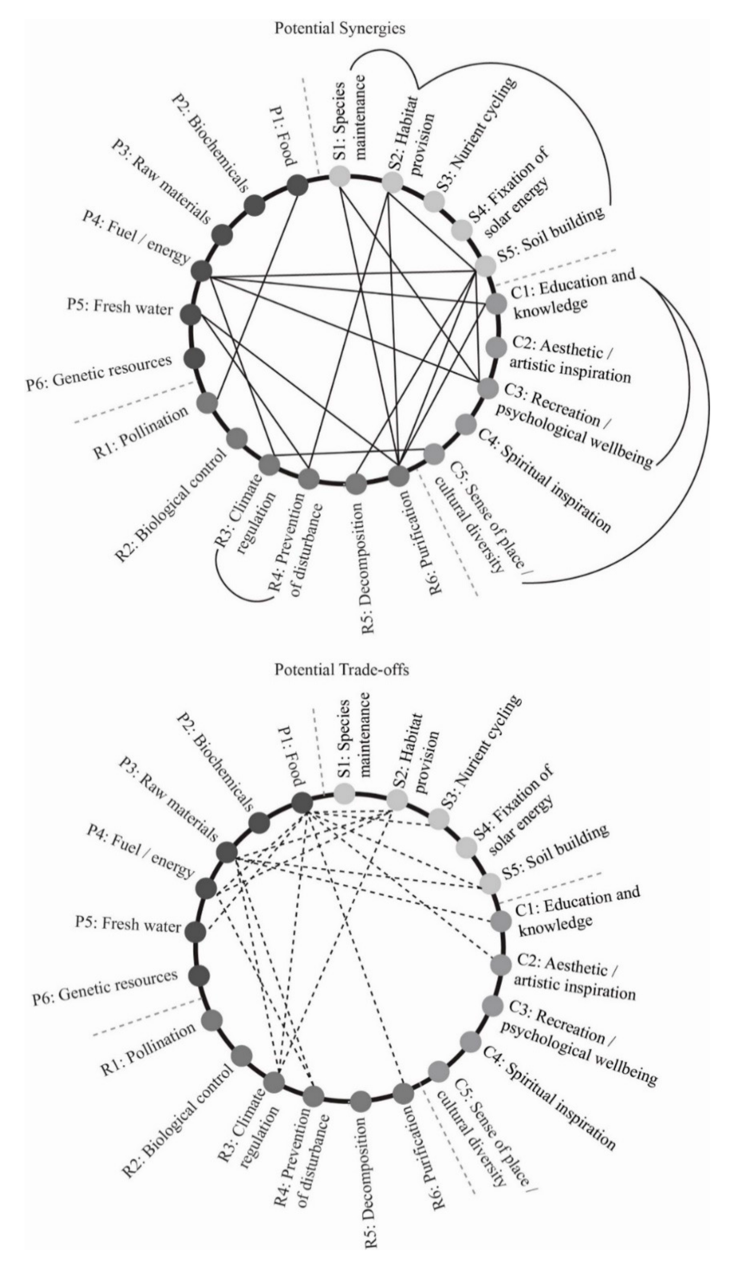 Biomimetics 06 00002 g001